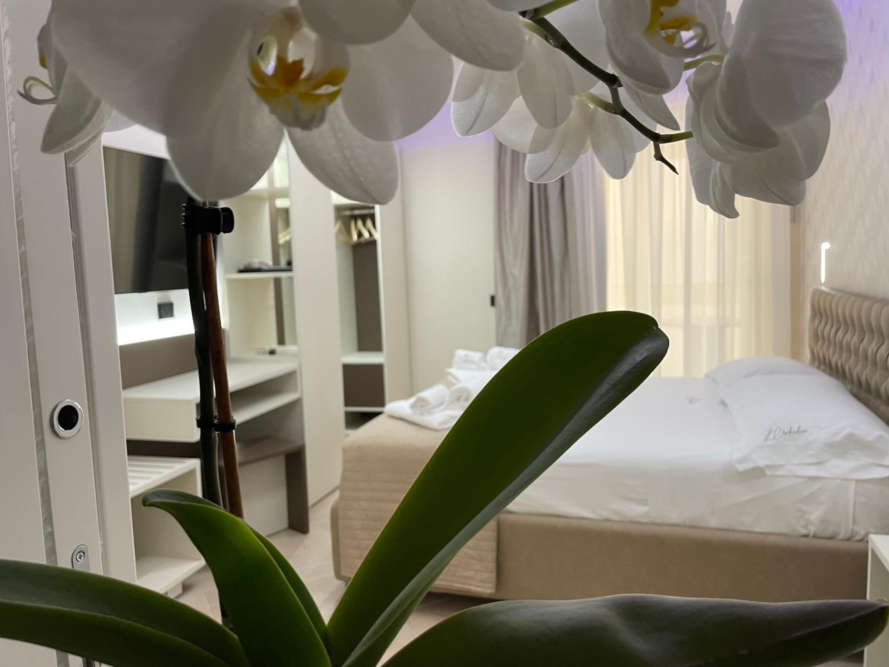 Superior King Suite - Photo 17