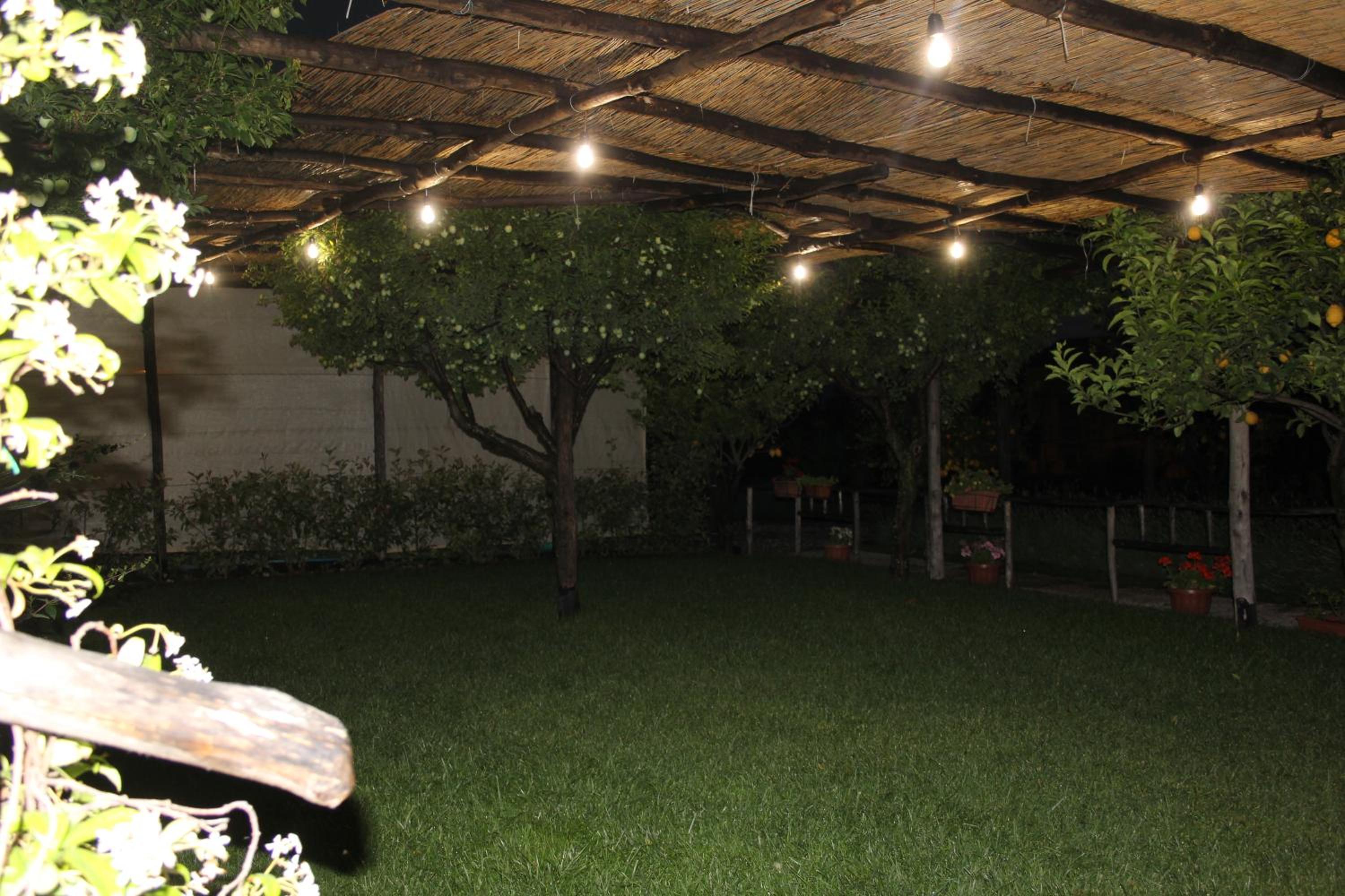 Double Room with Garden View photo 3