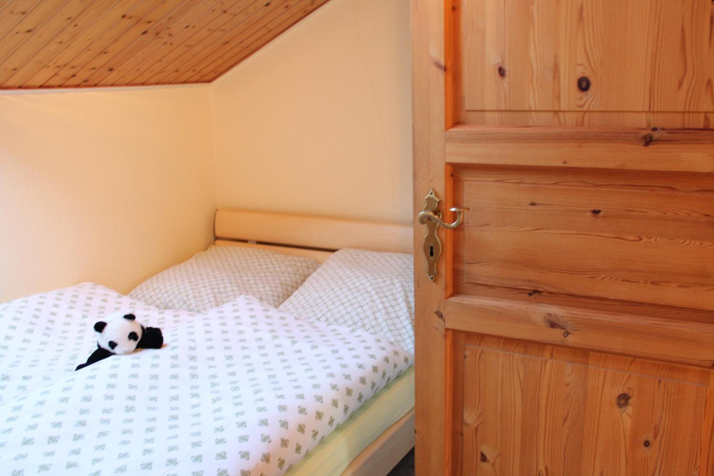 Duplex Apartment photo 3