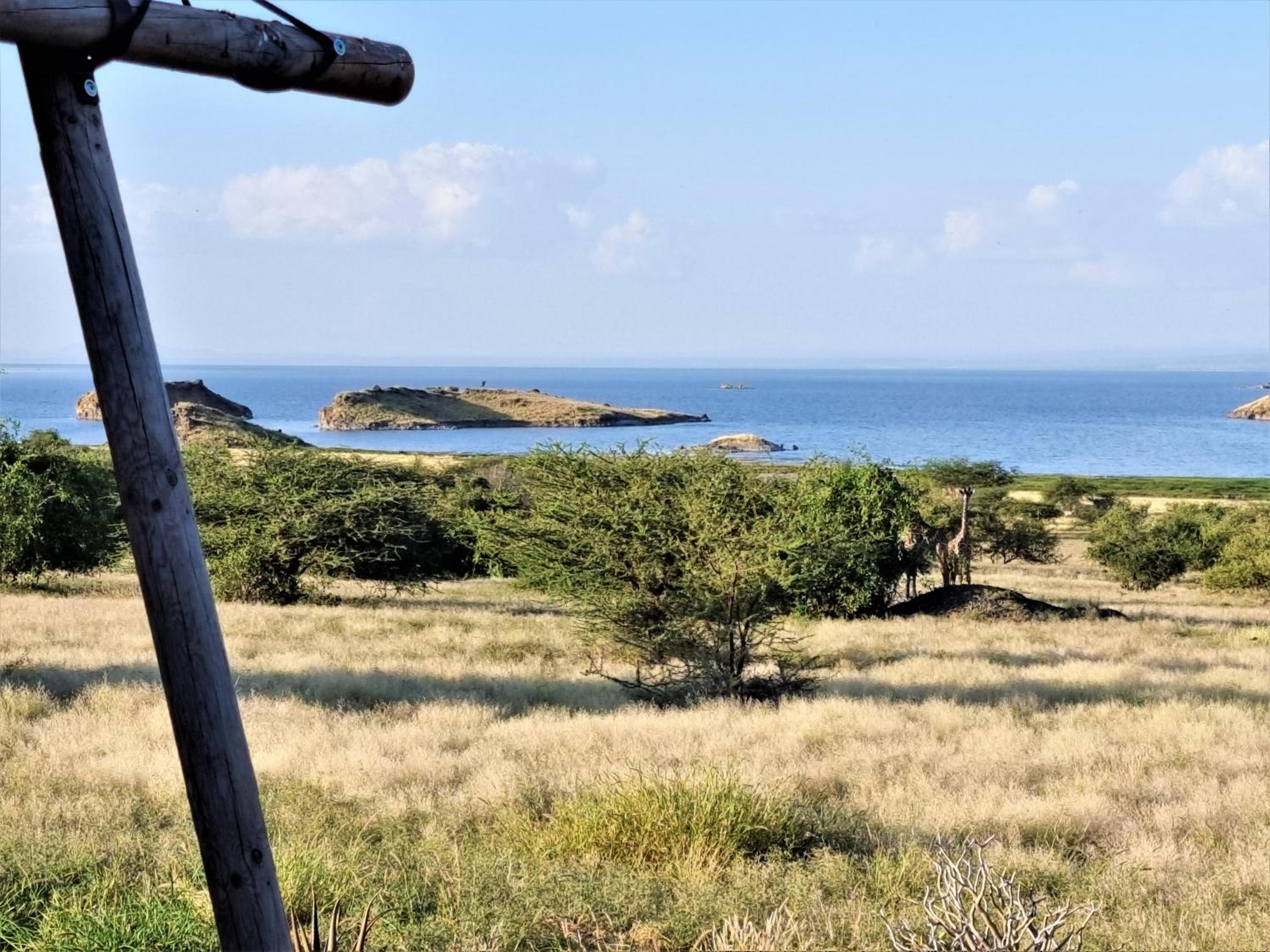 Safari Luxury Accommodations - Photo 2