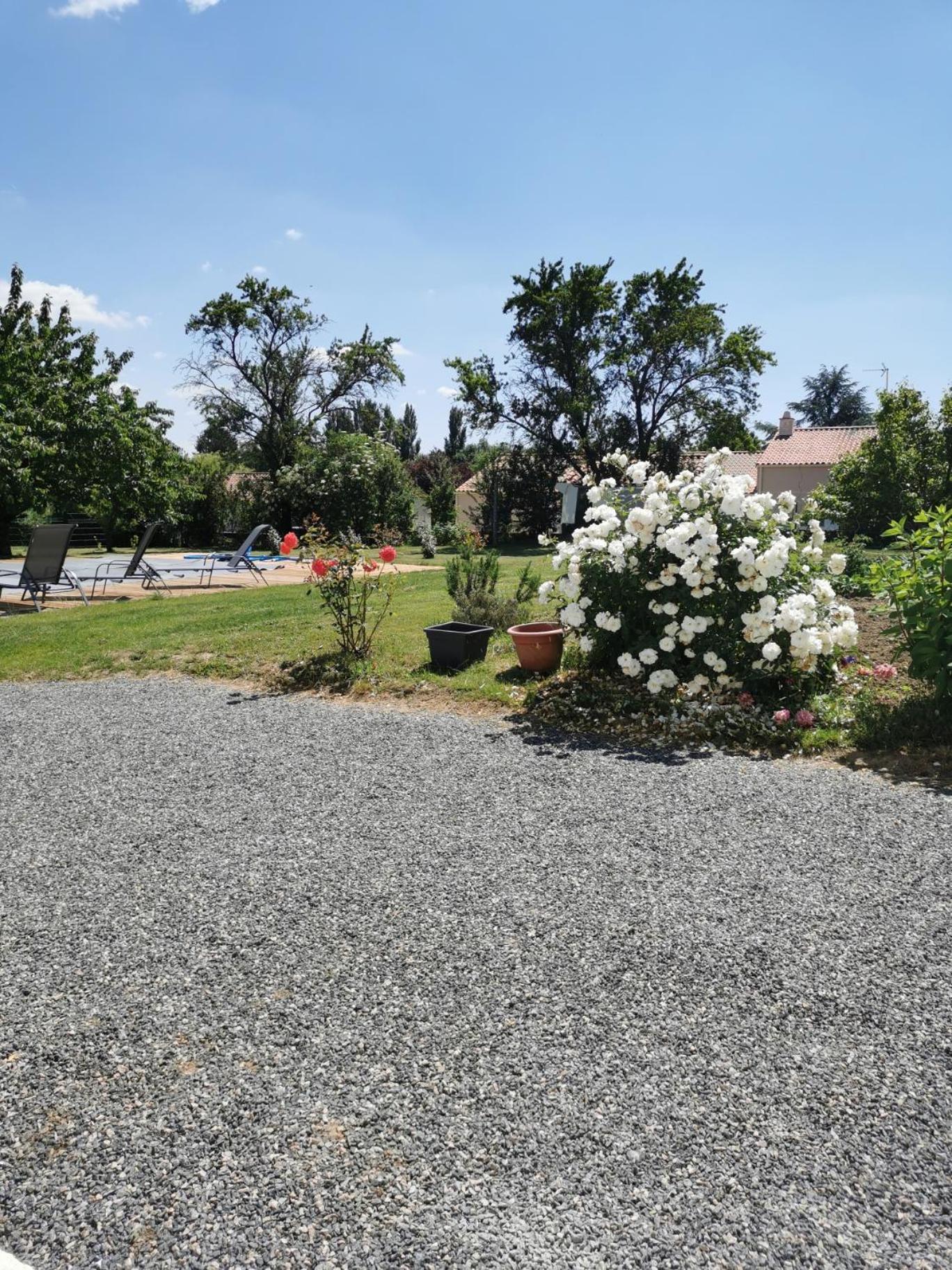 Double Room with Garden View photo 2
