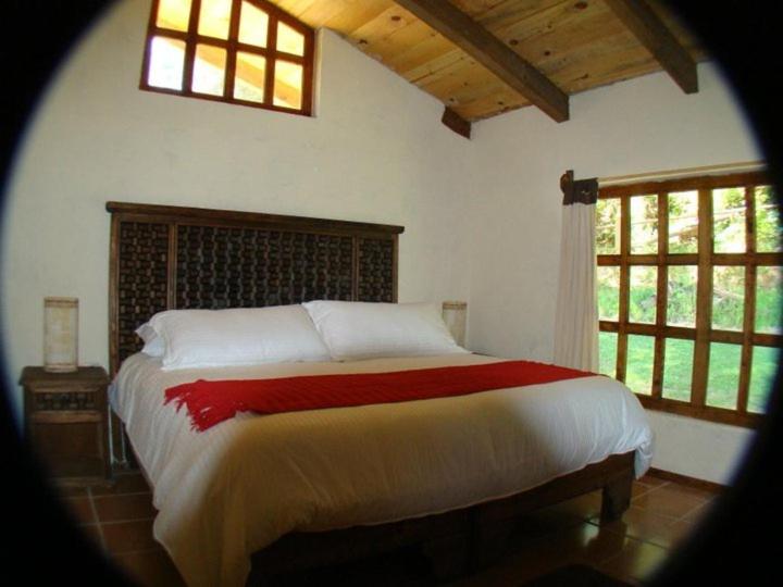 Family Room with Garden View - Photo 7