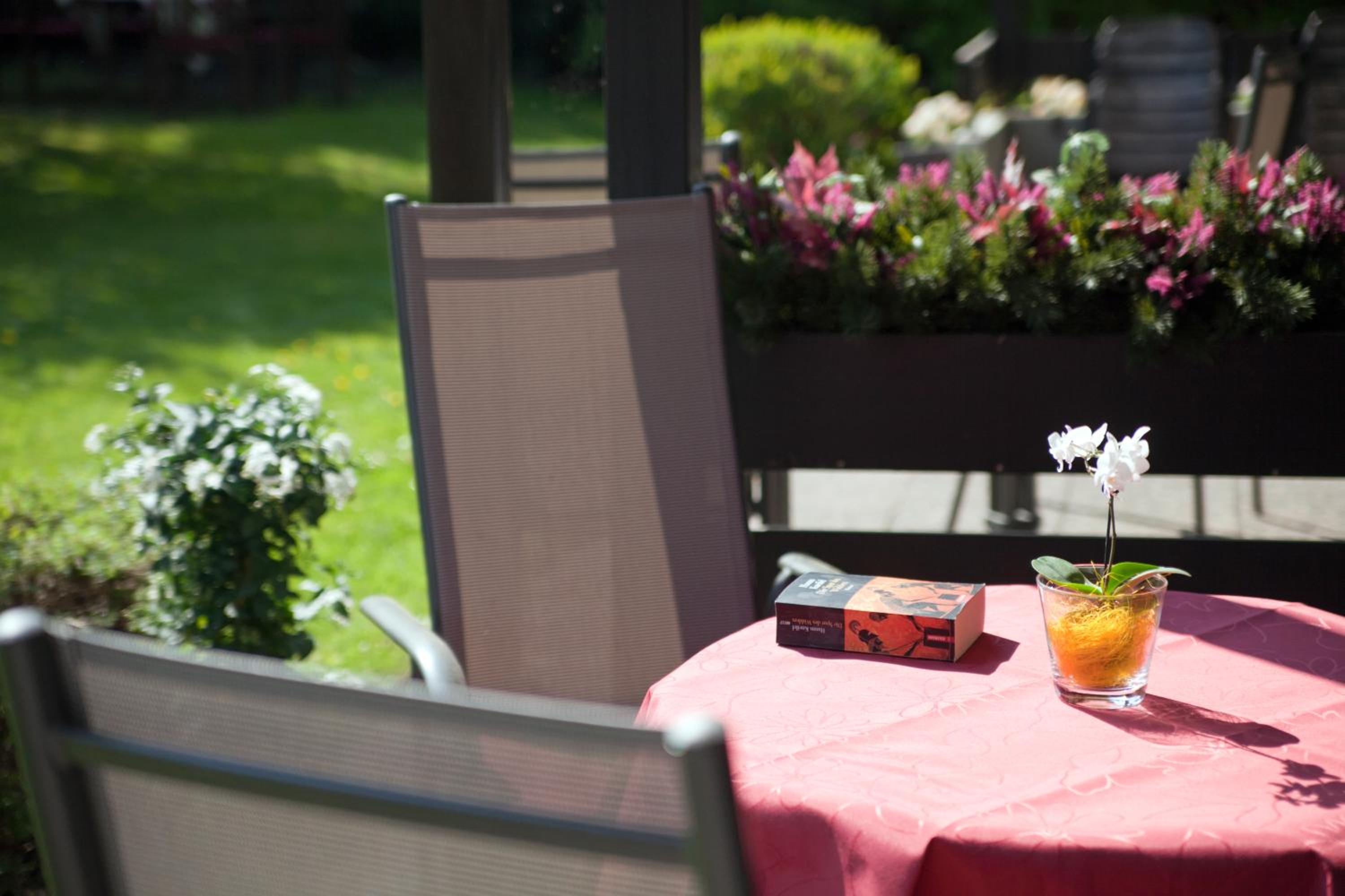 Studio Apartment with Terrace photo 3