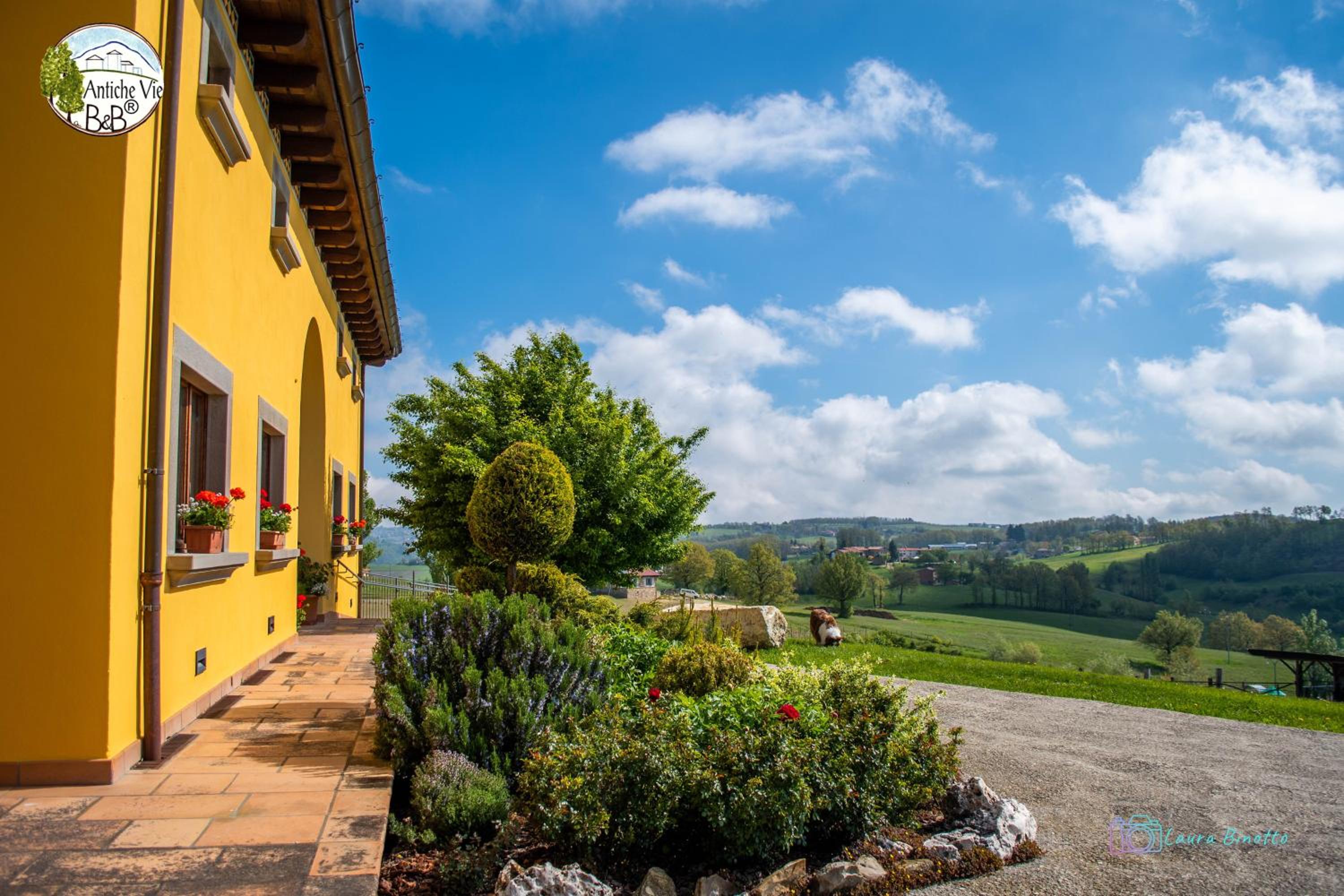 Antiche Vie B&B, Billede 38