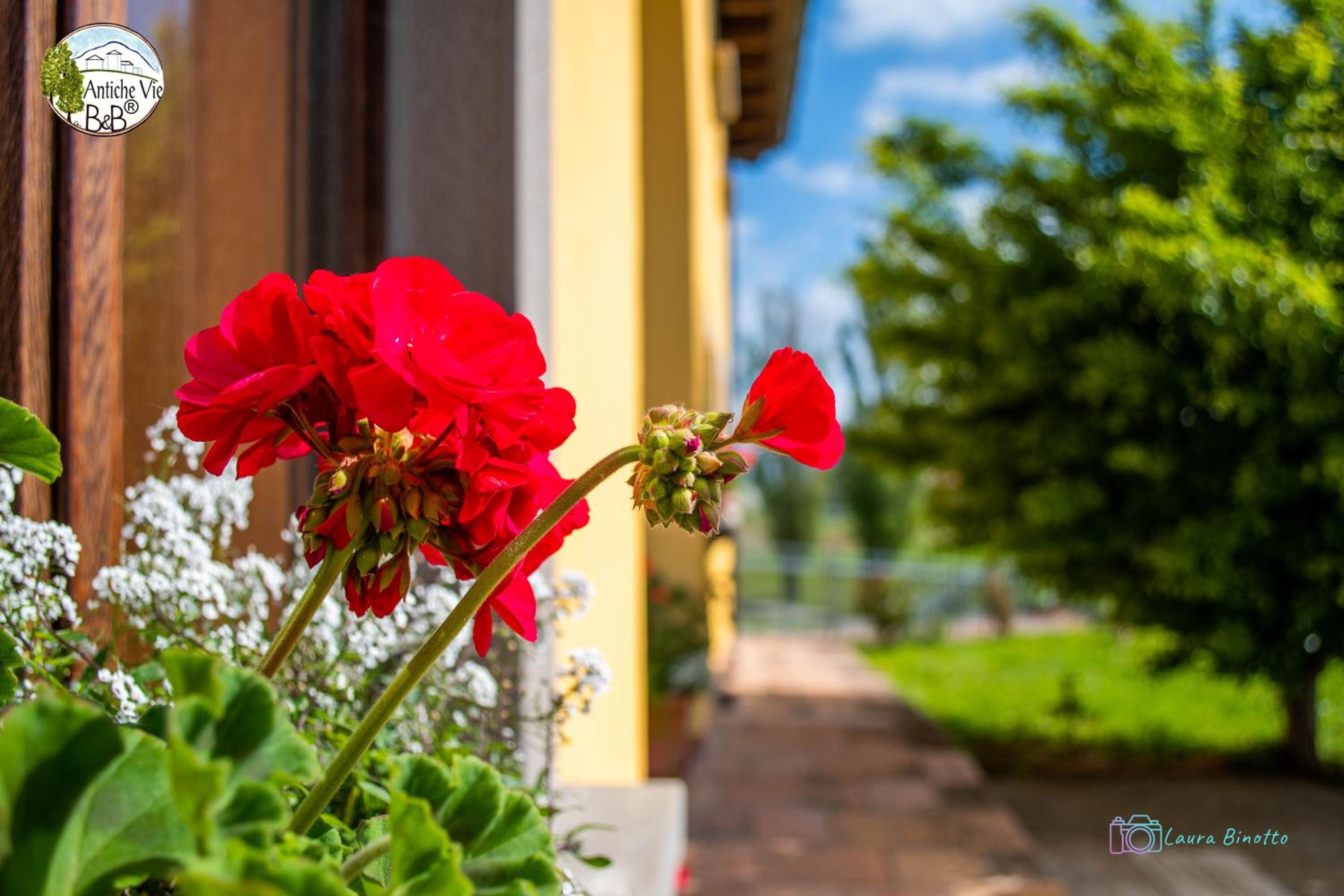 Antiche Vie B&B, Billede 12
