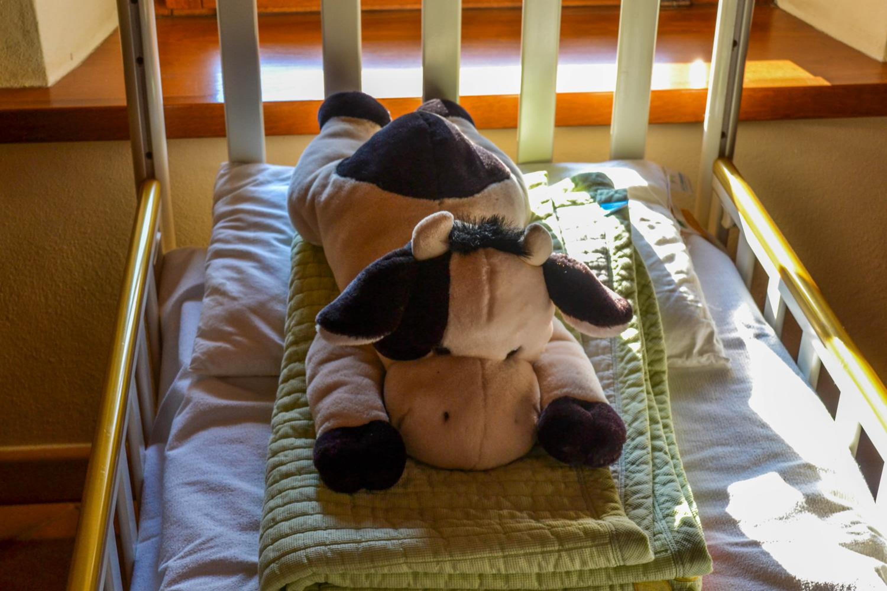 Deluxe Double Room (2 Adults + 1 Child) photo 1
