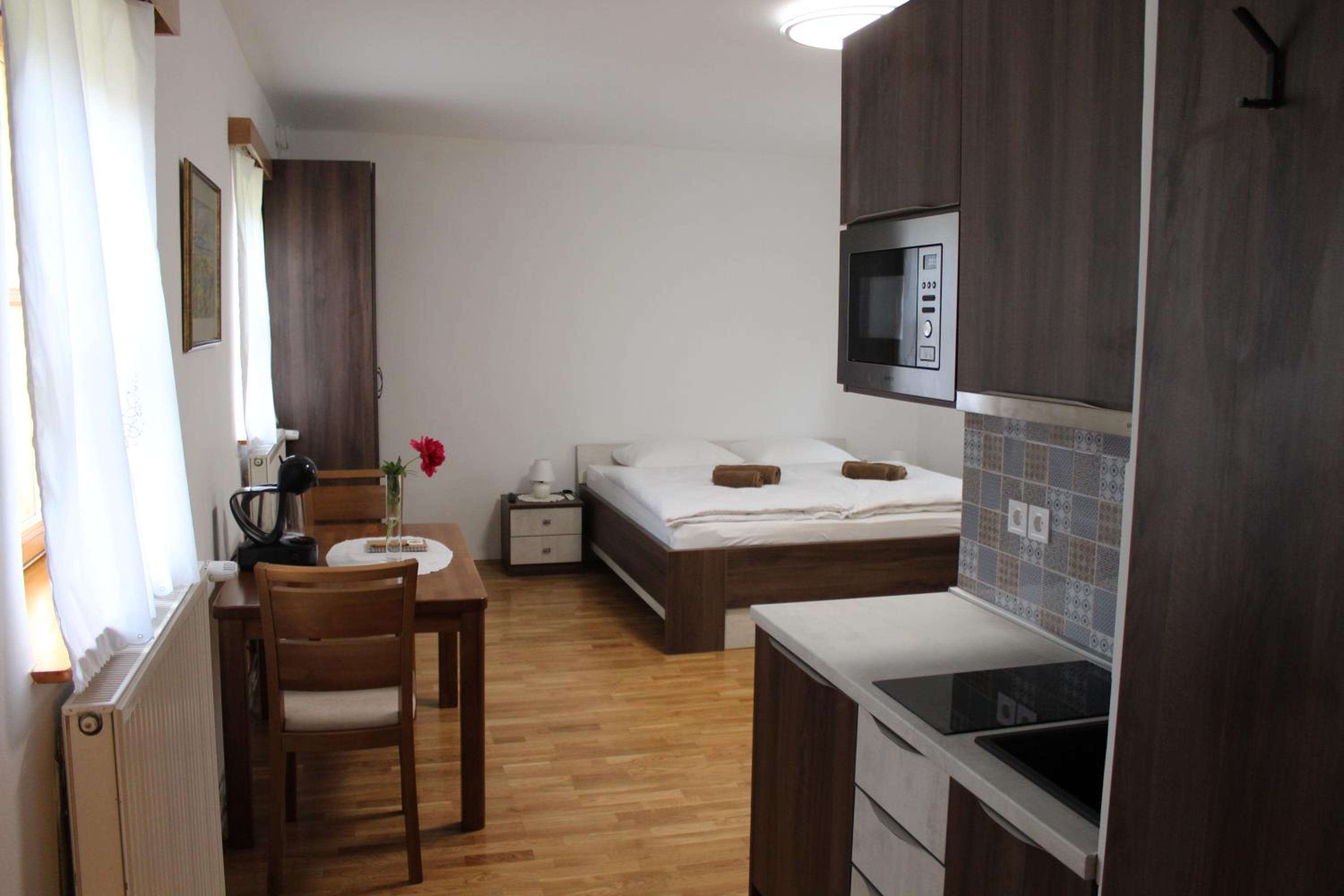 Studio Apartment - Photo 1