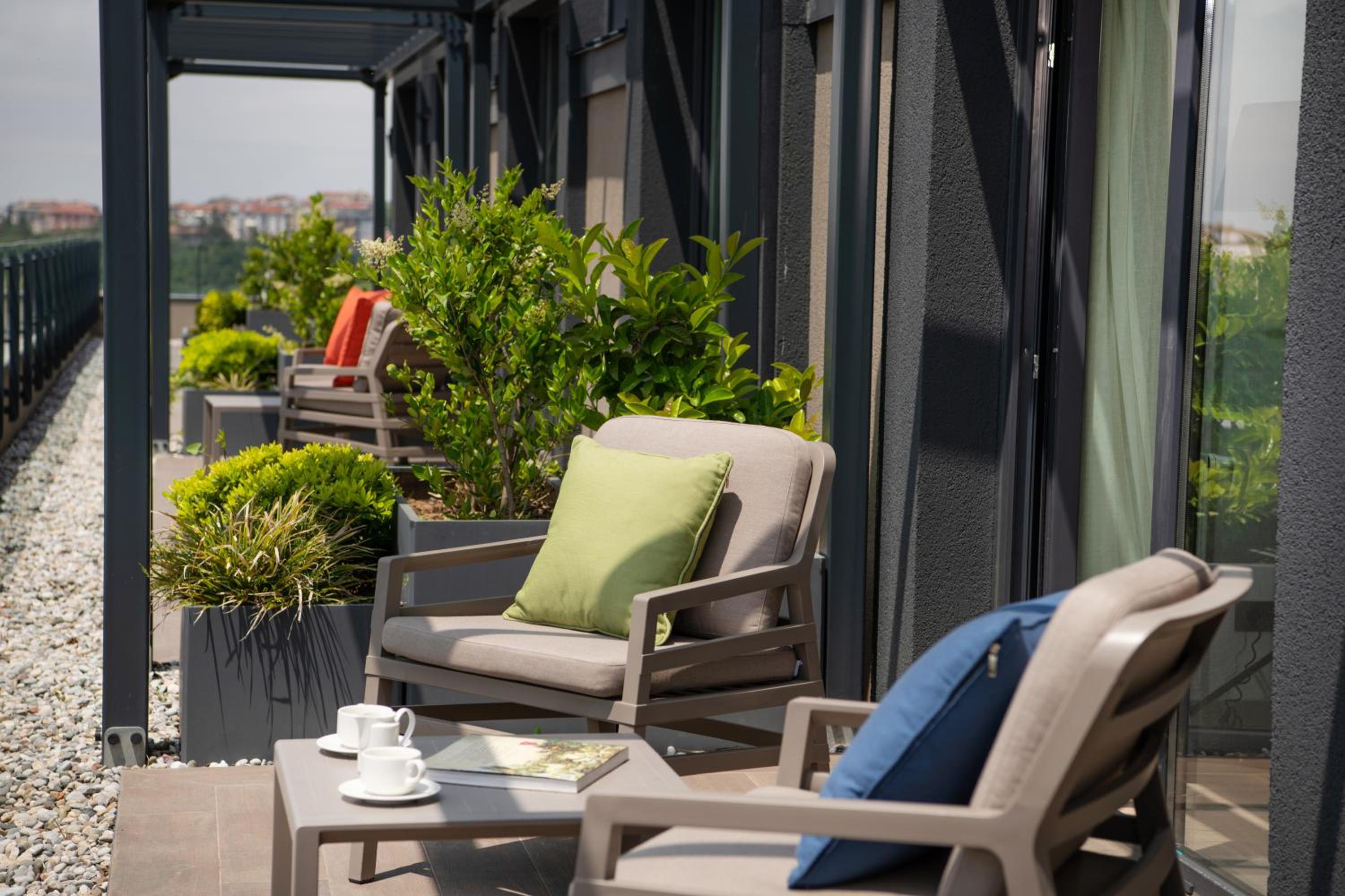 Suite with Terrace photo 3
