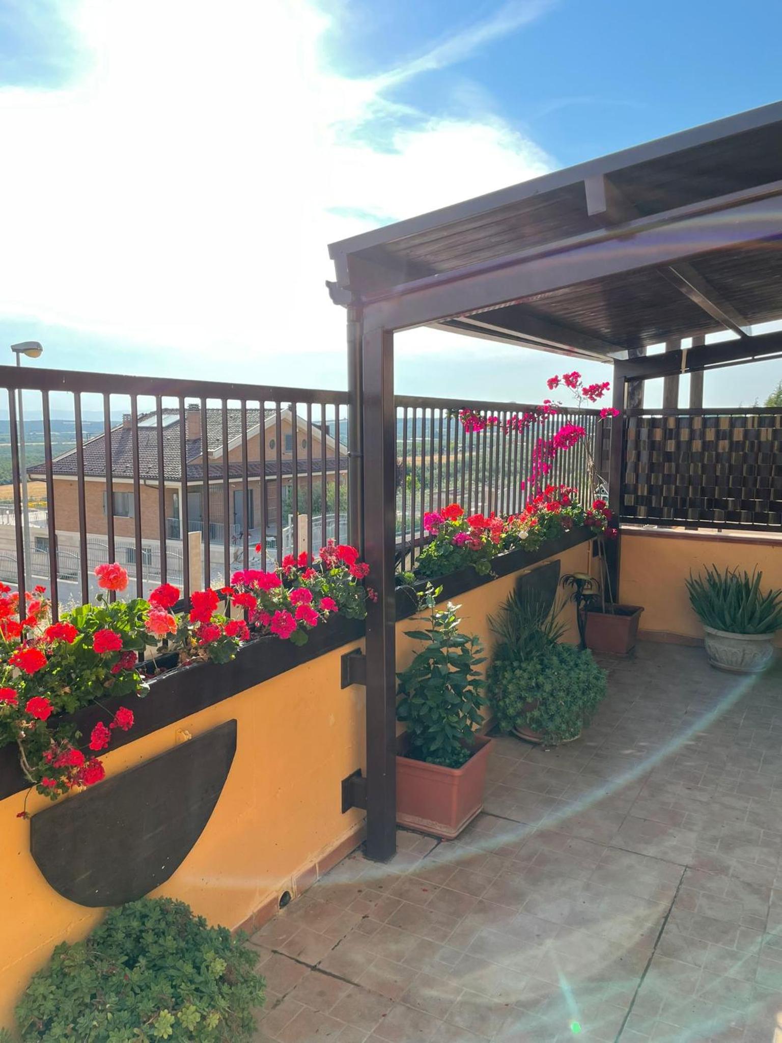Double Room with Terrace photo 3