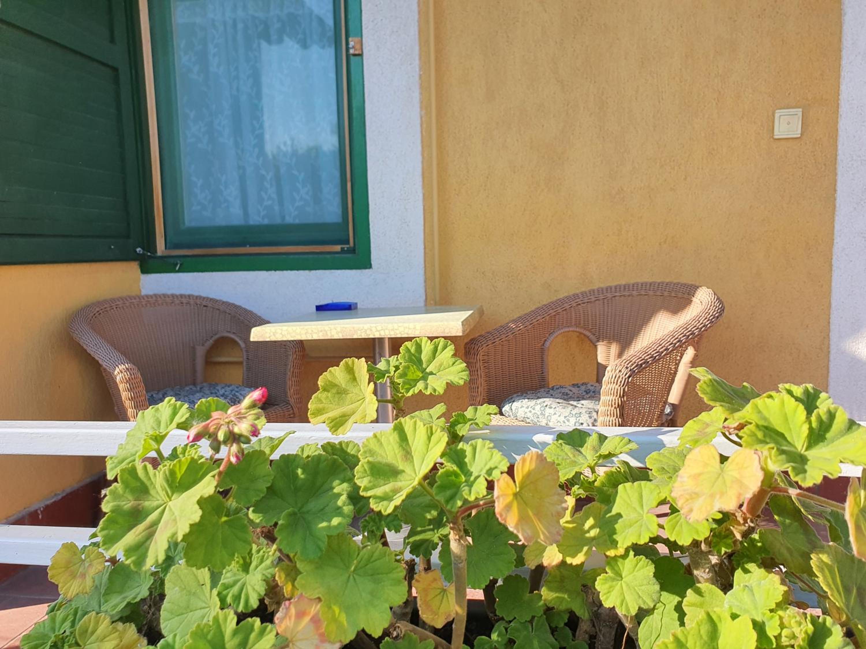 Apartment With Garden View photo 3