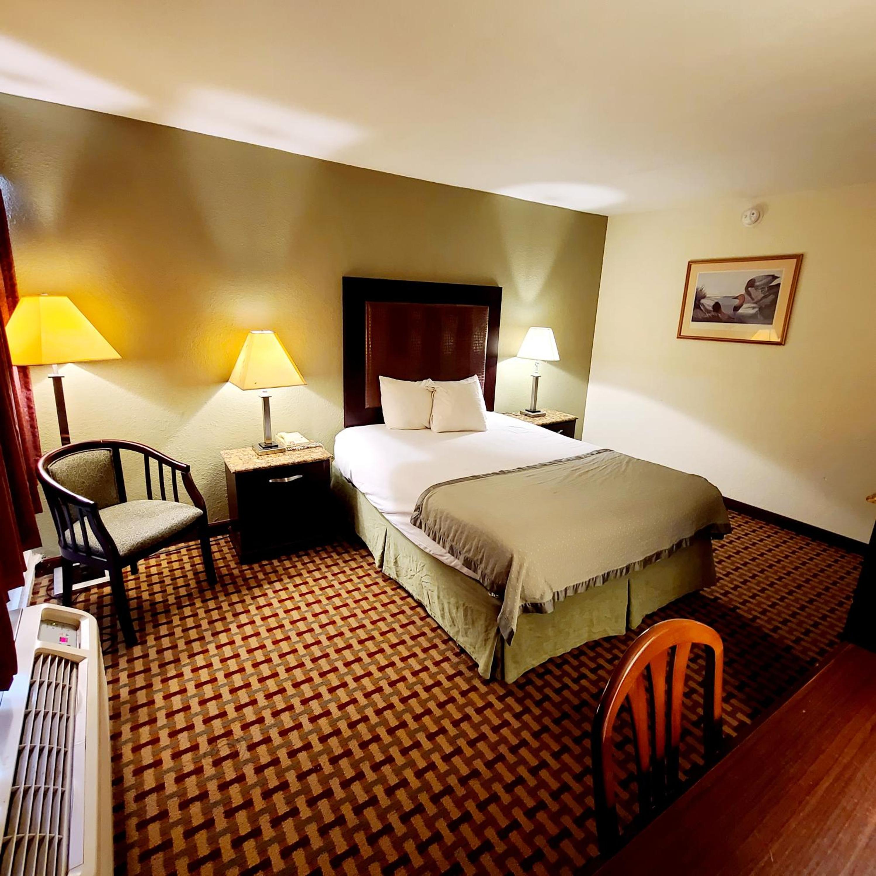 Queen Room - Disability Access photo 2