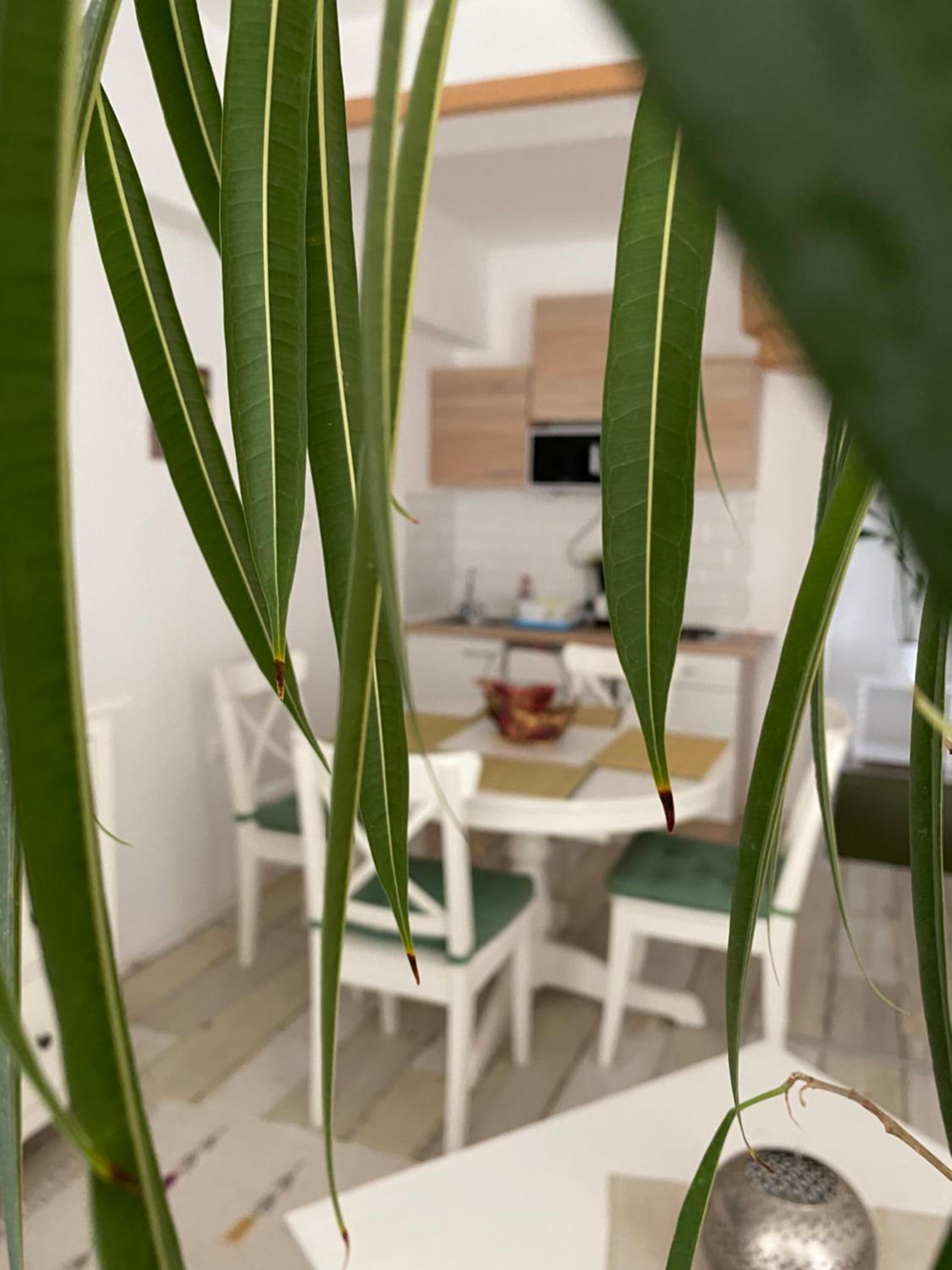 Apartment - Ground Floor photo 3