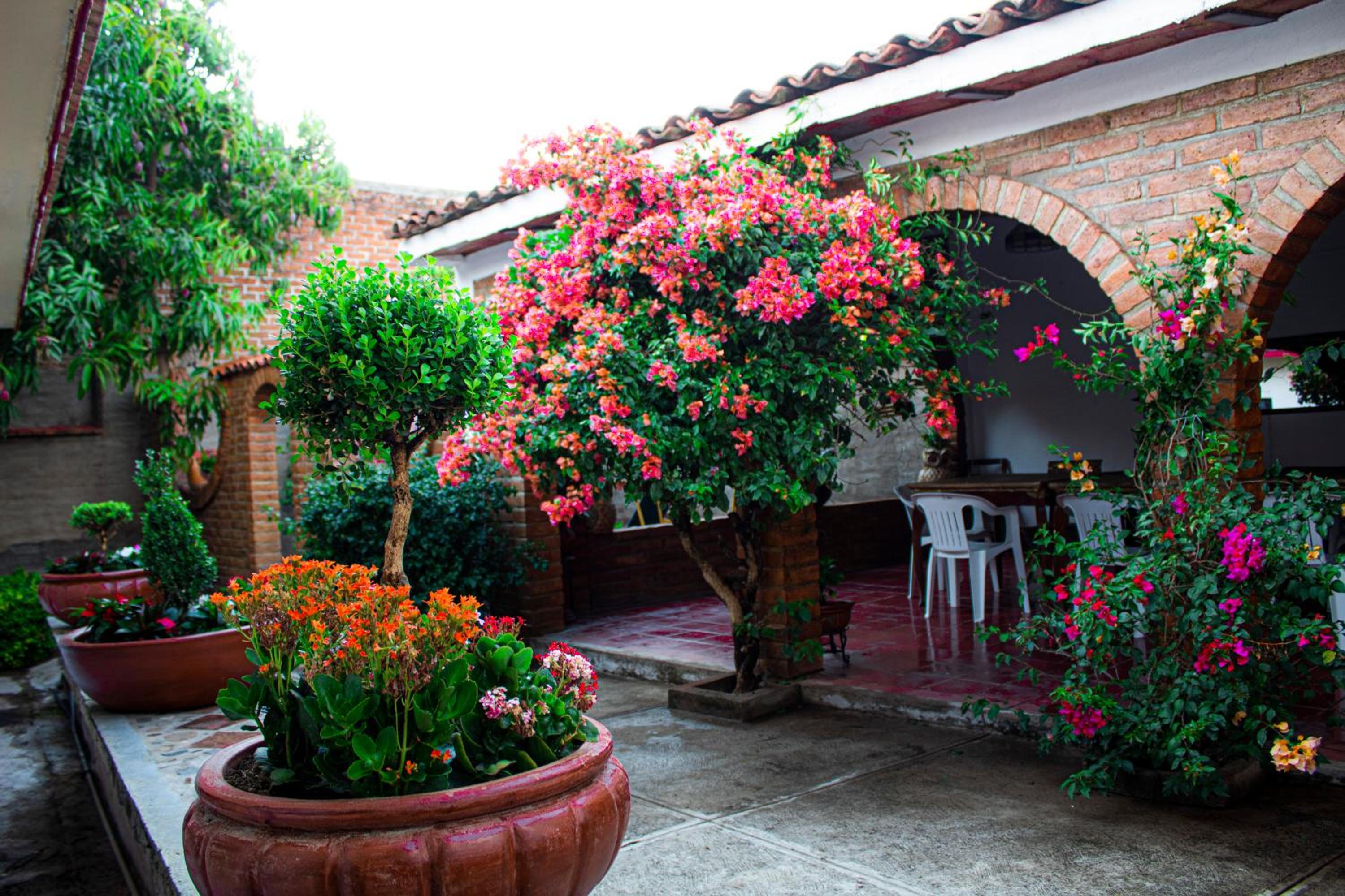 Three-Bedroom House - Photo 39