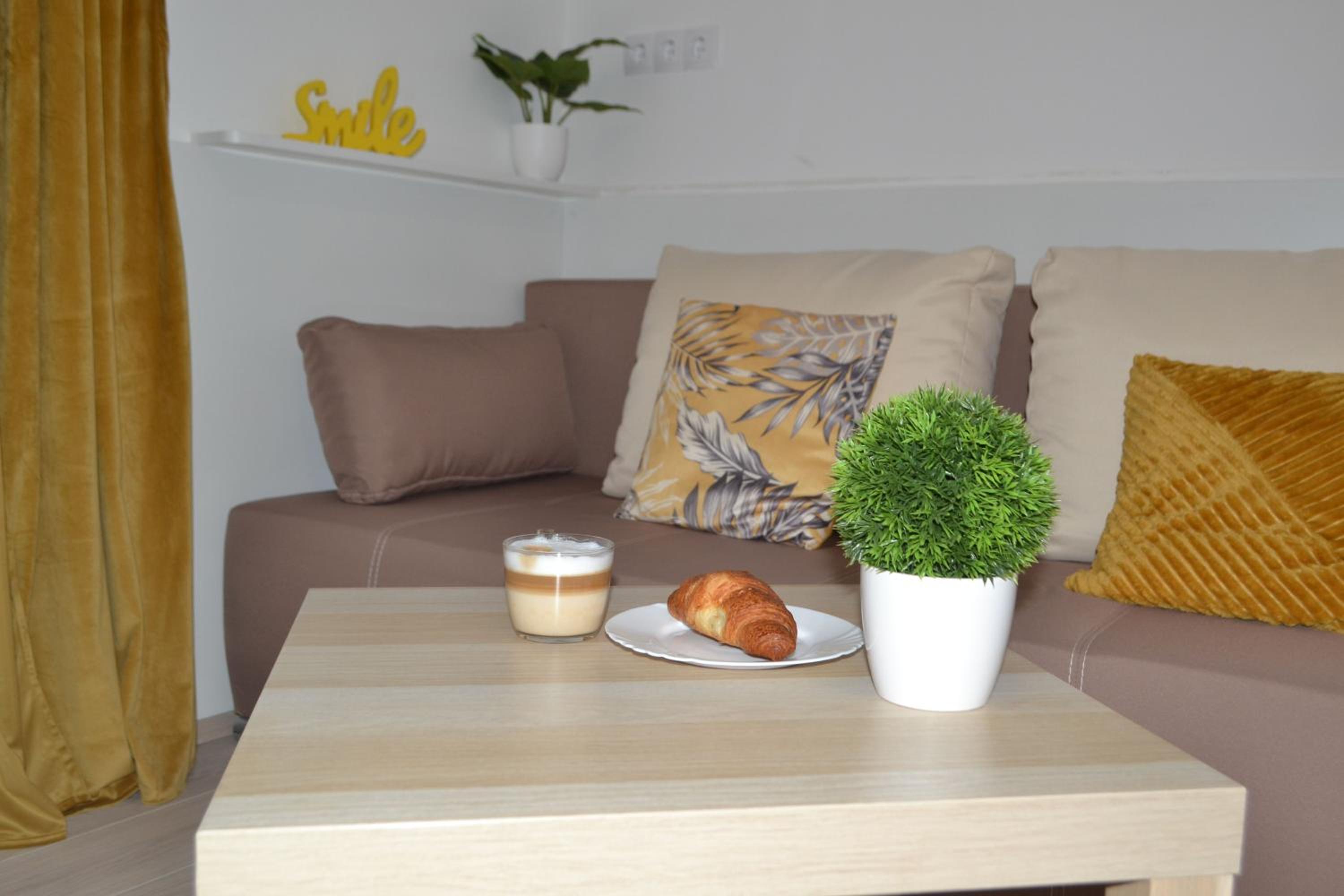 Family Studio photo 2