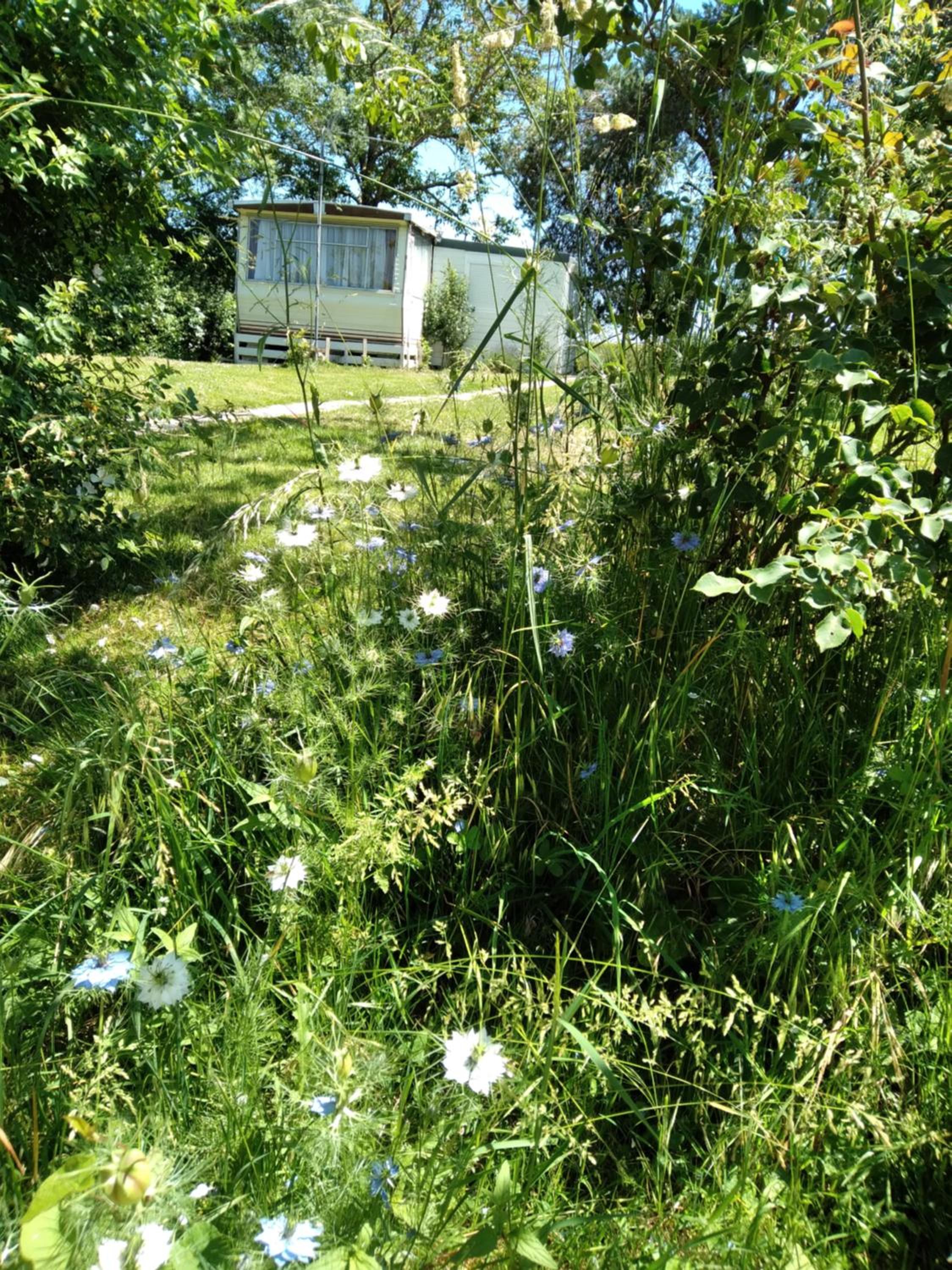 Mobile Home - Photo 28