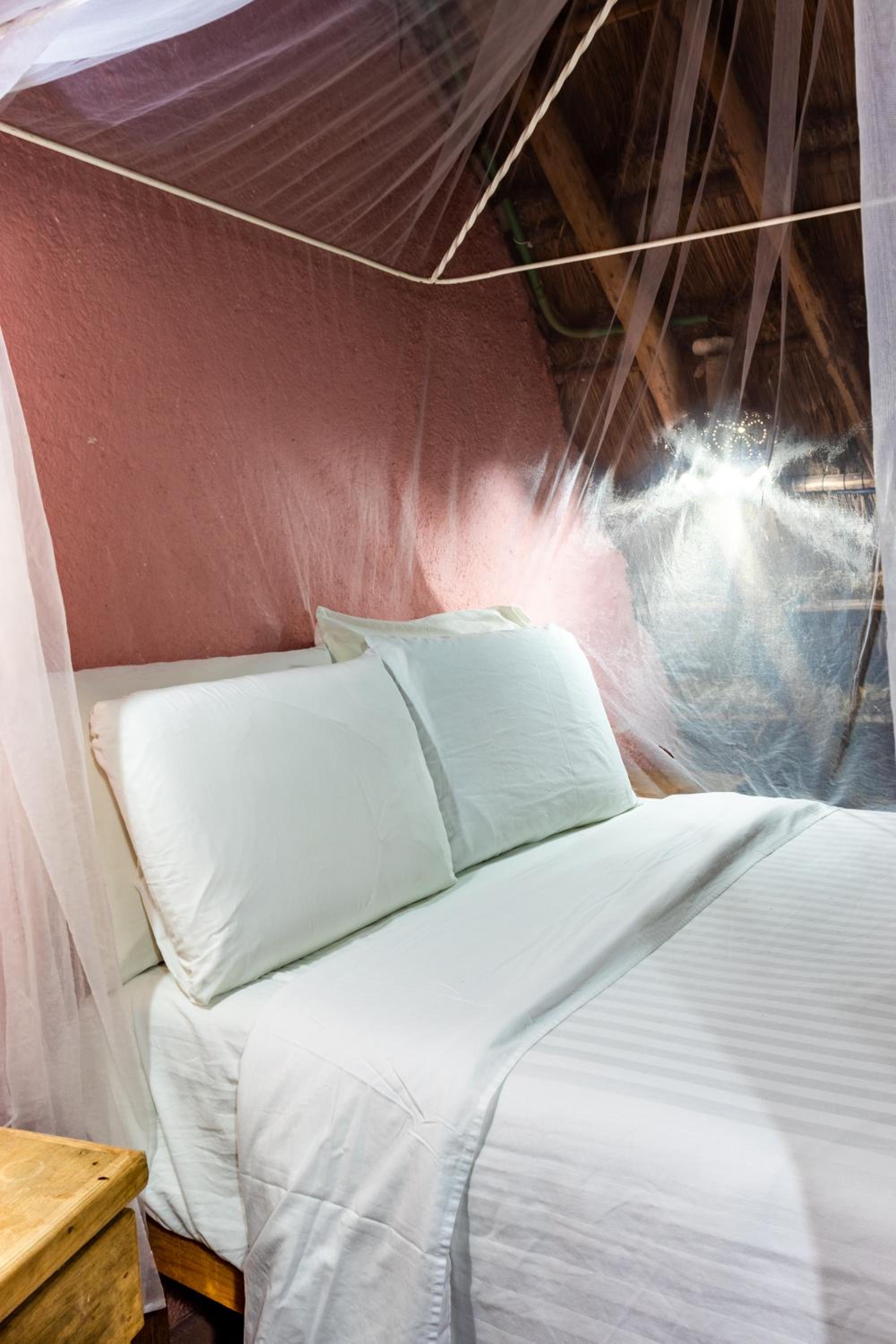 Standard King Room - Photo 1