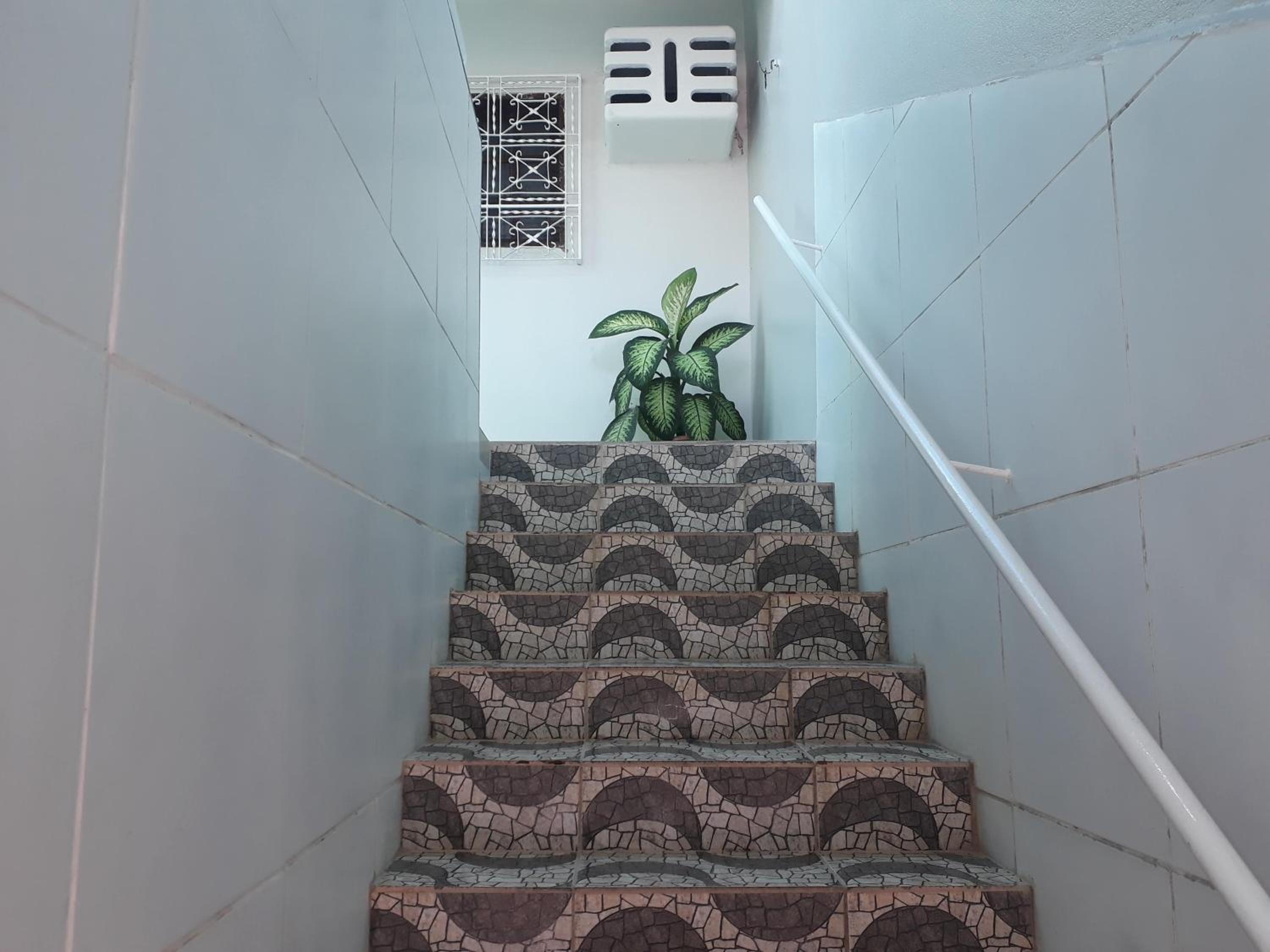 Apartment - Photo 6