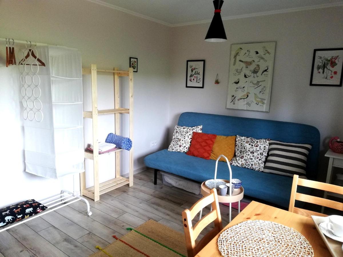 Family Room - Photo 15