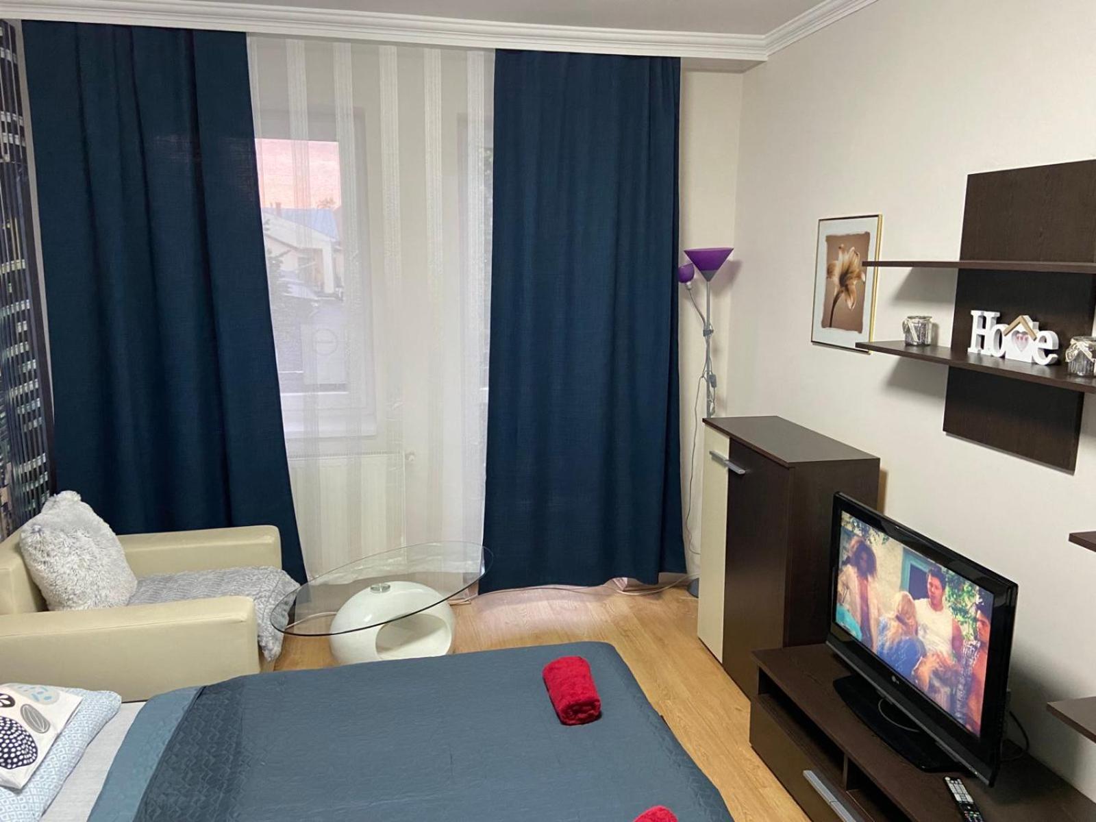 One-Bedroom Apartment photo 3