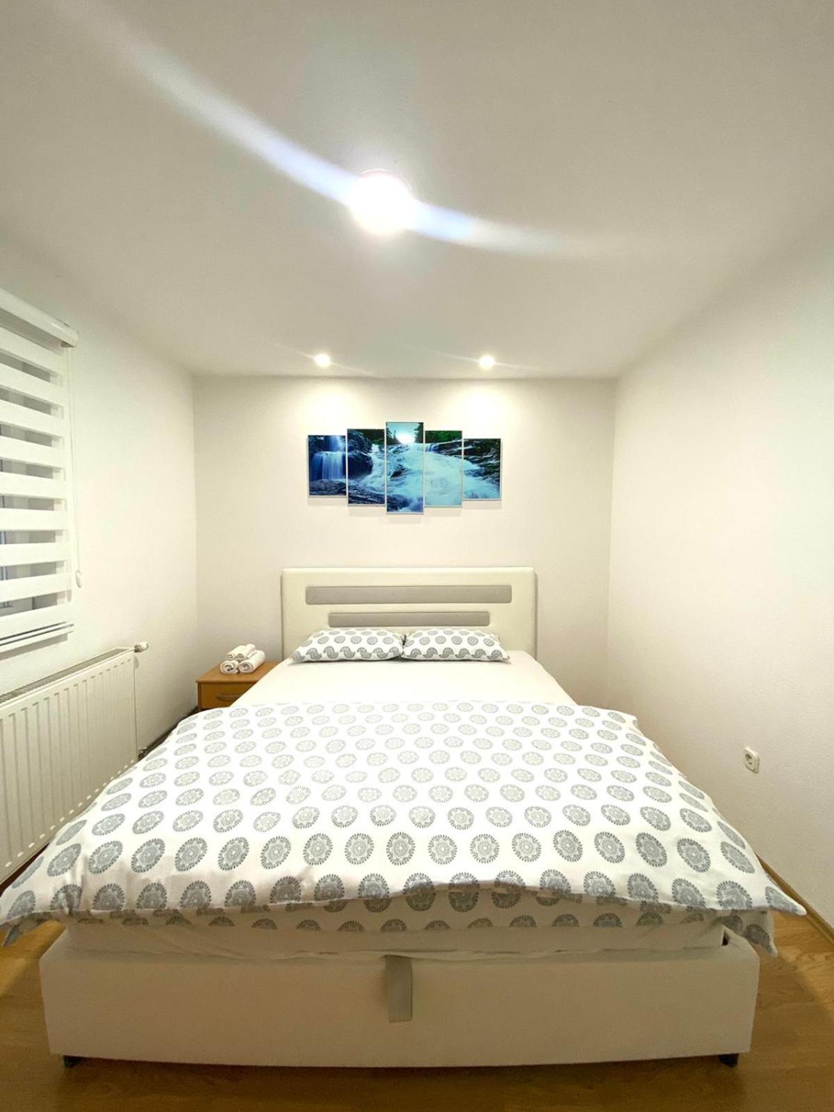 Apartment with Terrace photo 3