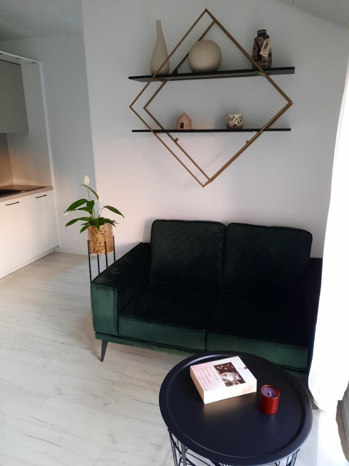 Standard Studio - Photo 3