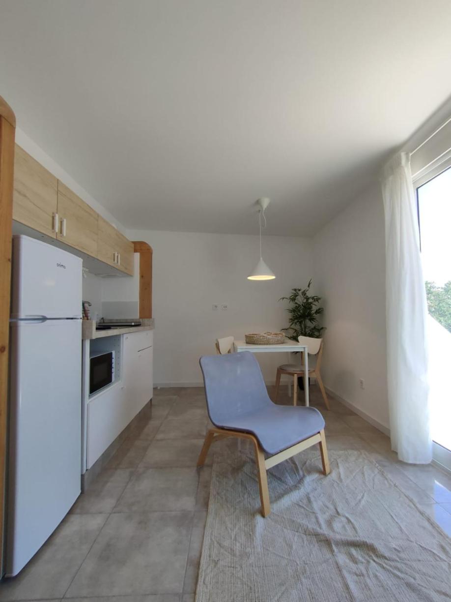 Apartment with Terrace photo 3