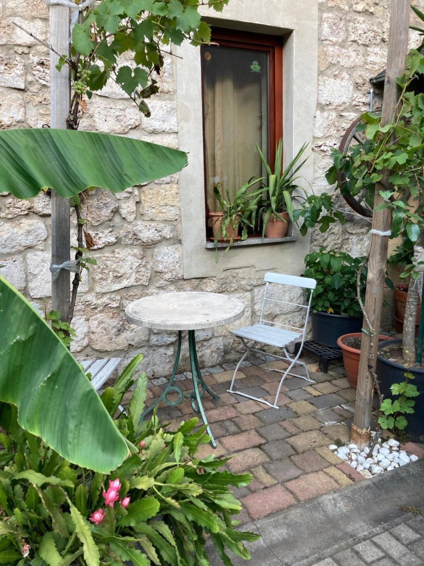 Studio with Garden View photo 3