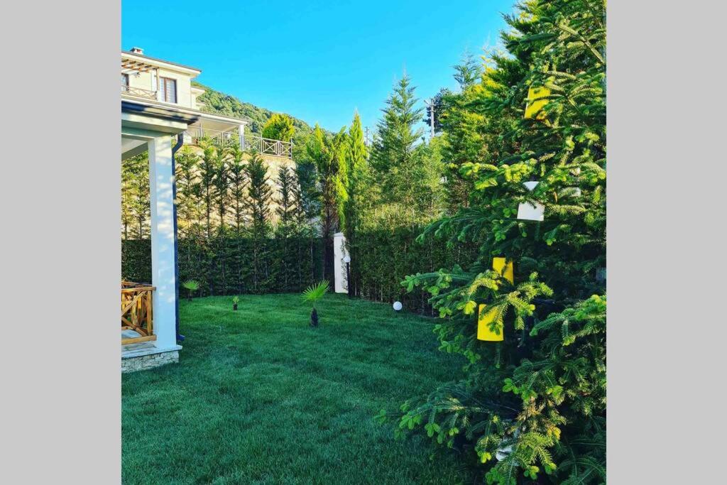 Villa - Photo 27