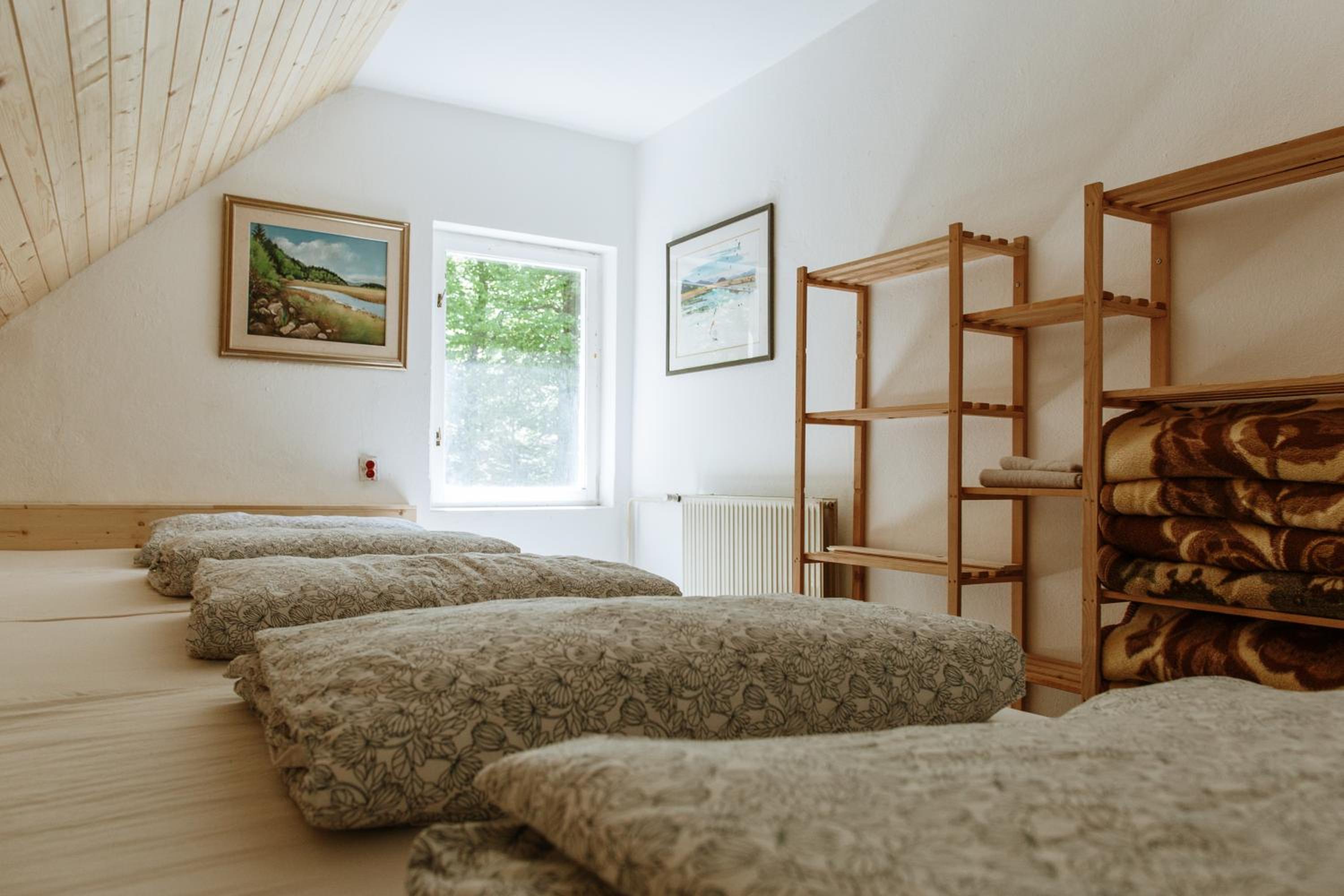 Mixed Dormitory Room photo 1