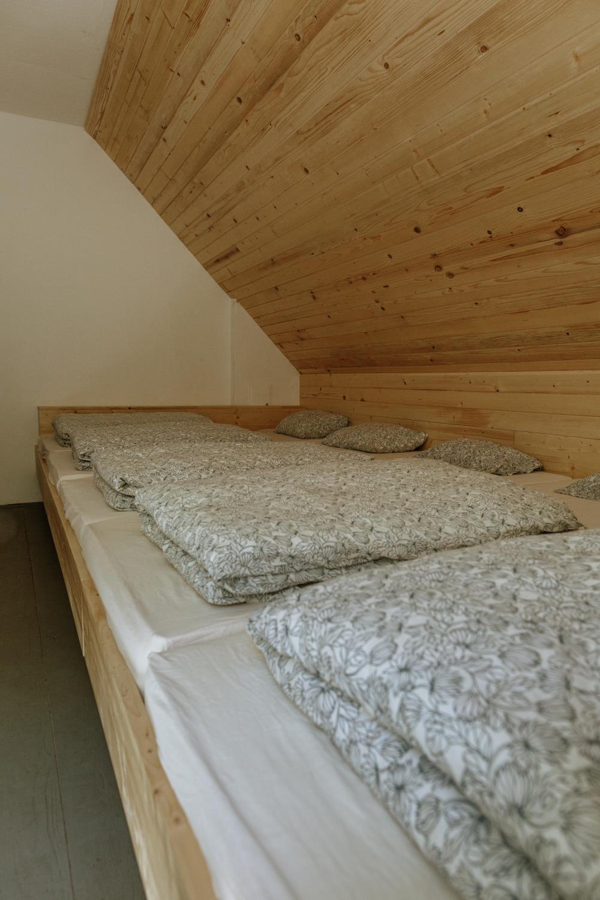 Mixed Dormitory Room photo 2