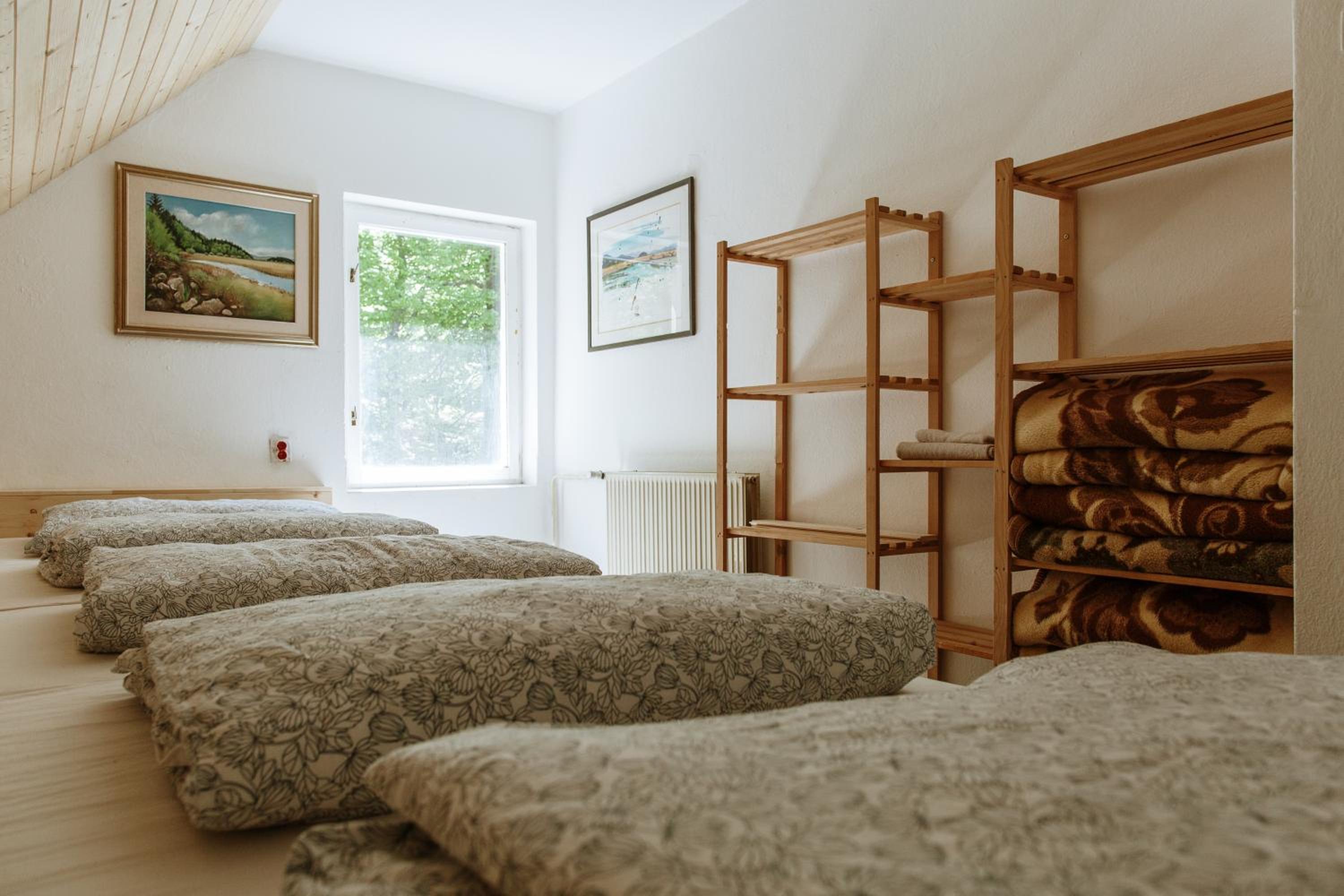 Mixed Dormitory Room photo 3