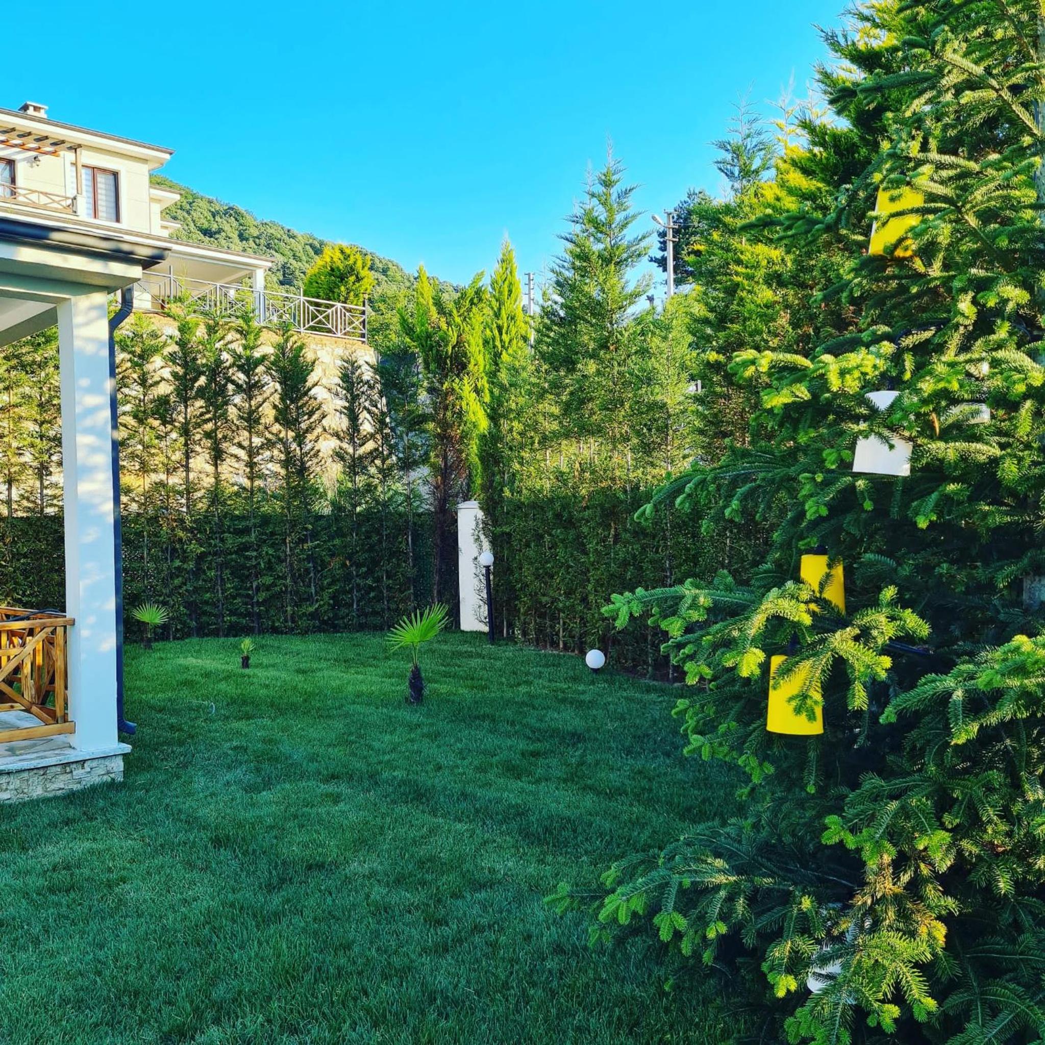 Villa - Photo 7