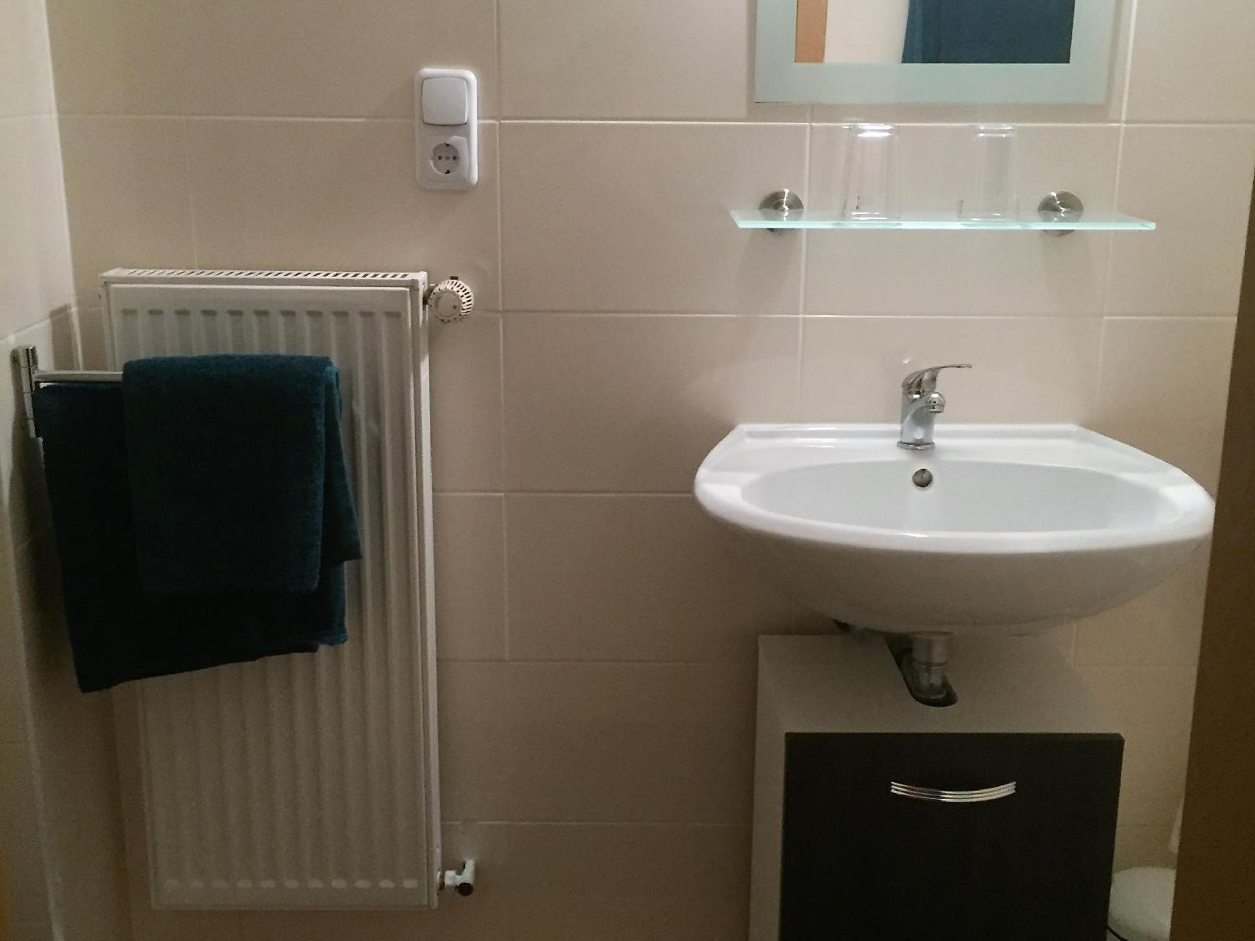Apartment with Shower photo 2