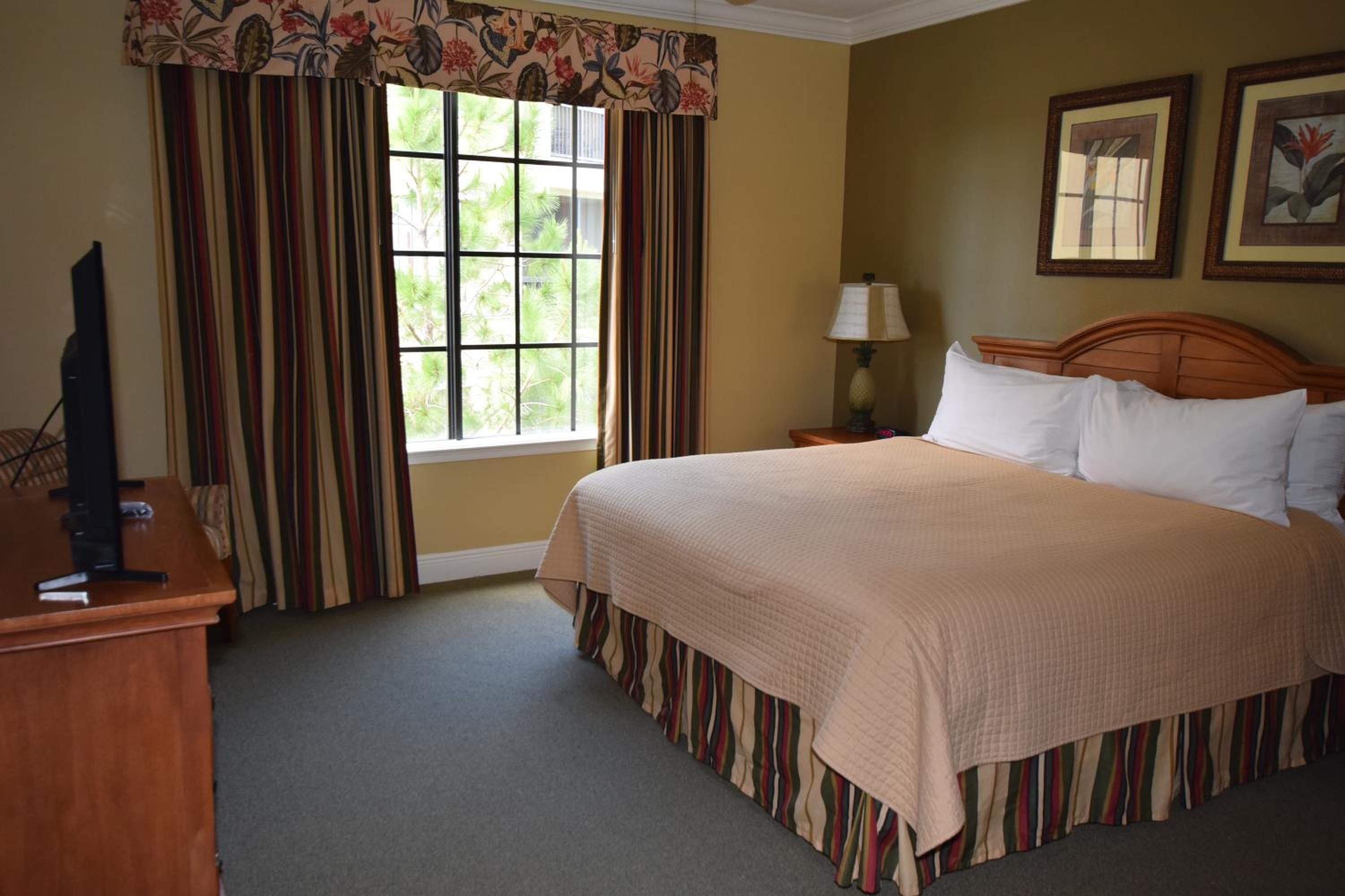 Four-Bedroom Suite photo 3