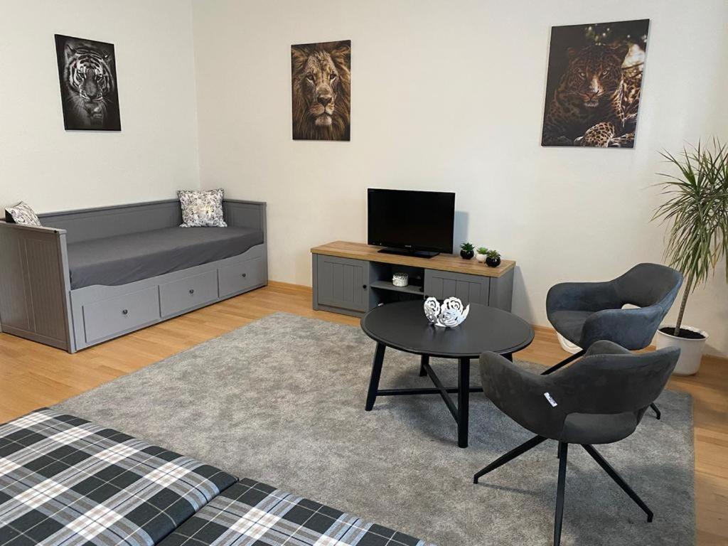 One-Bedroom Apartment photo 2