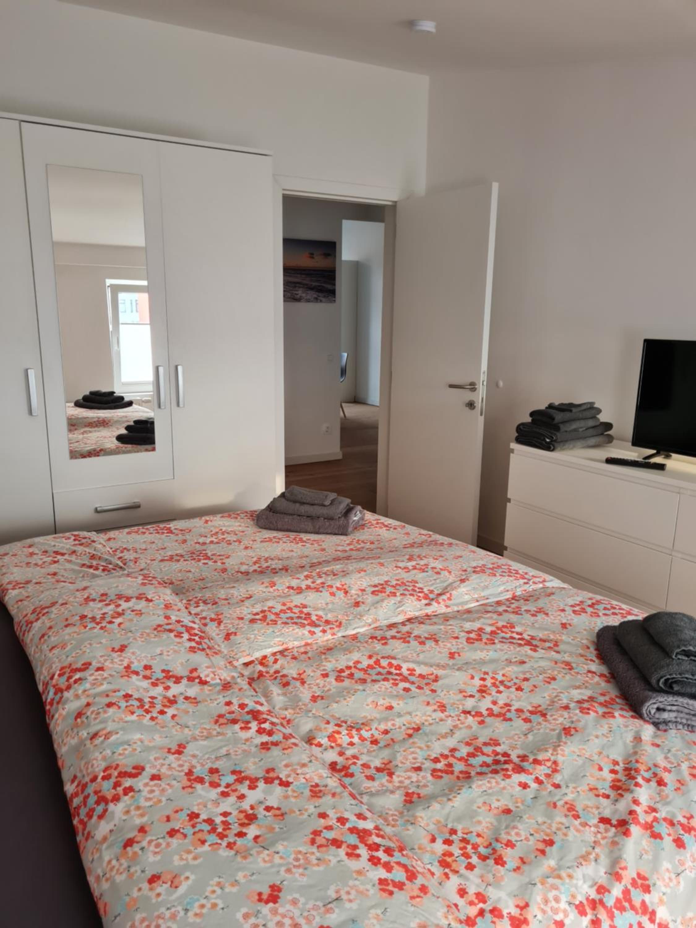 Three-Bedroom Apartment - Attic - Photo 8