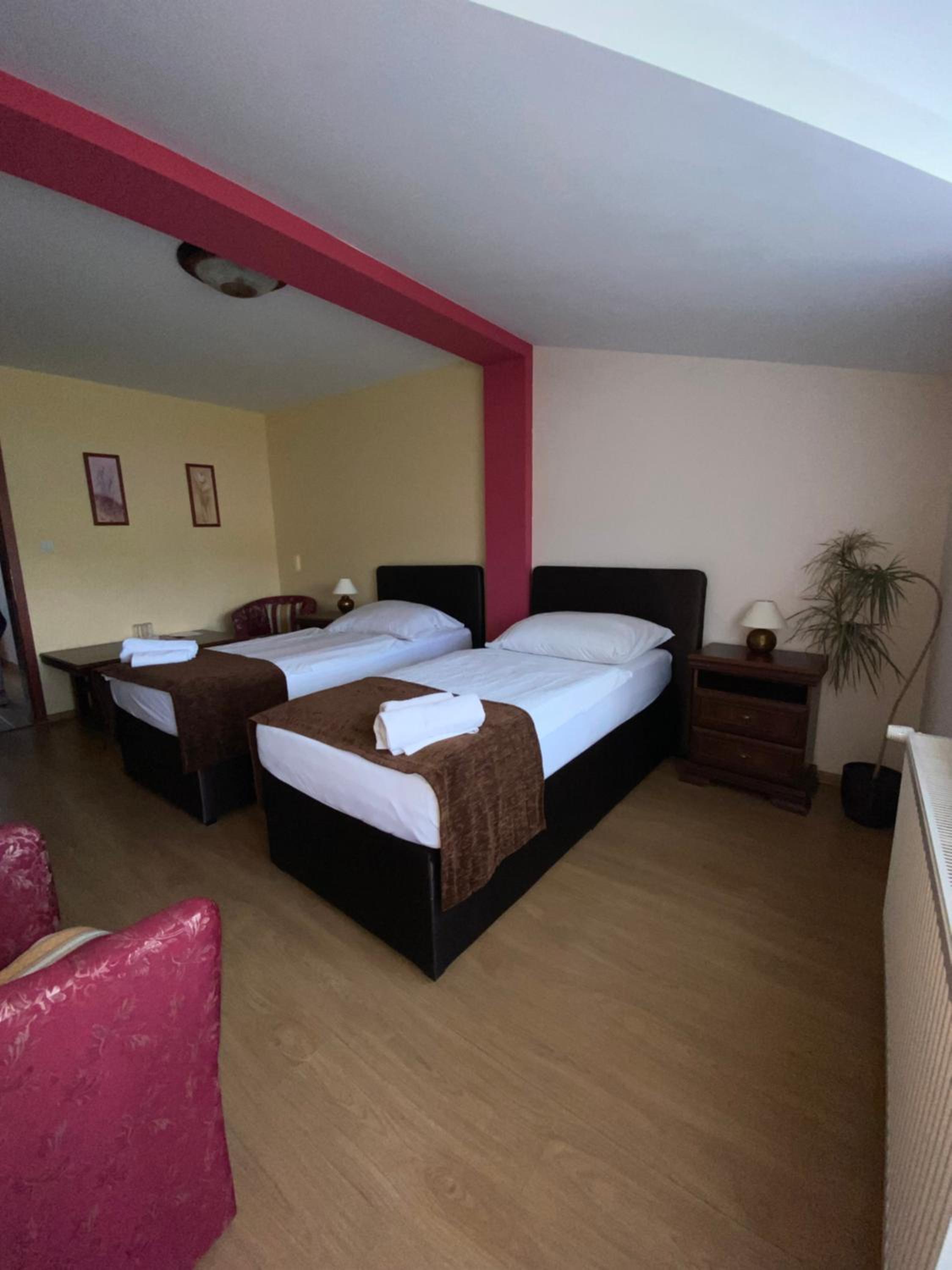 Twin Room photo 2