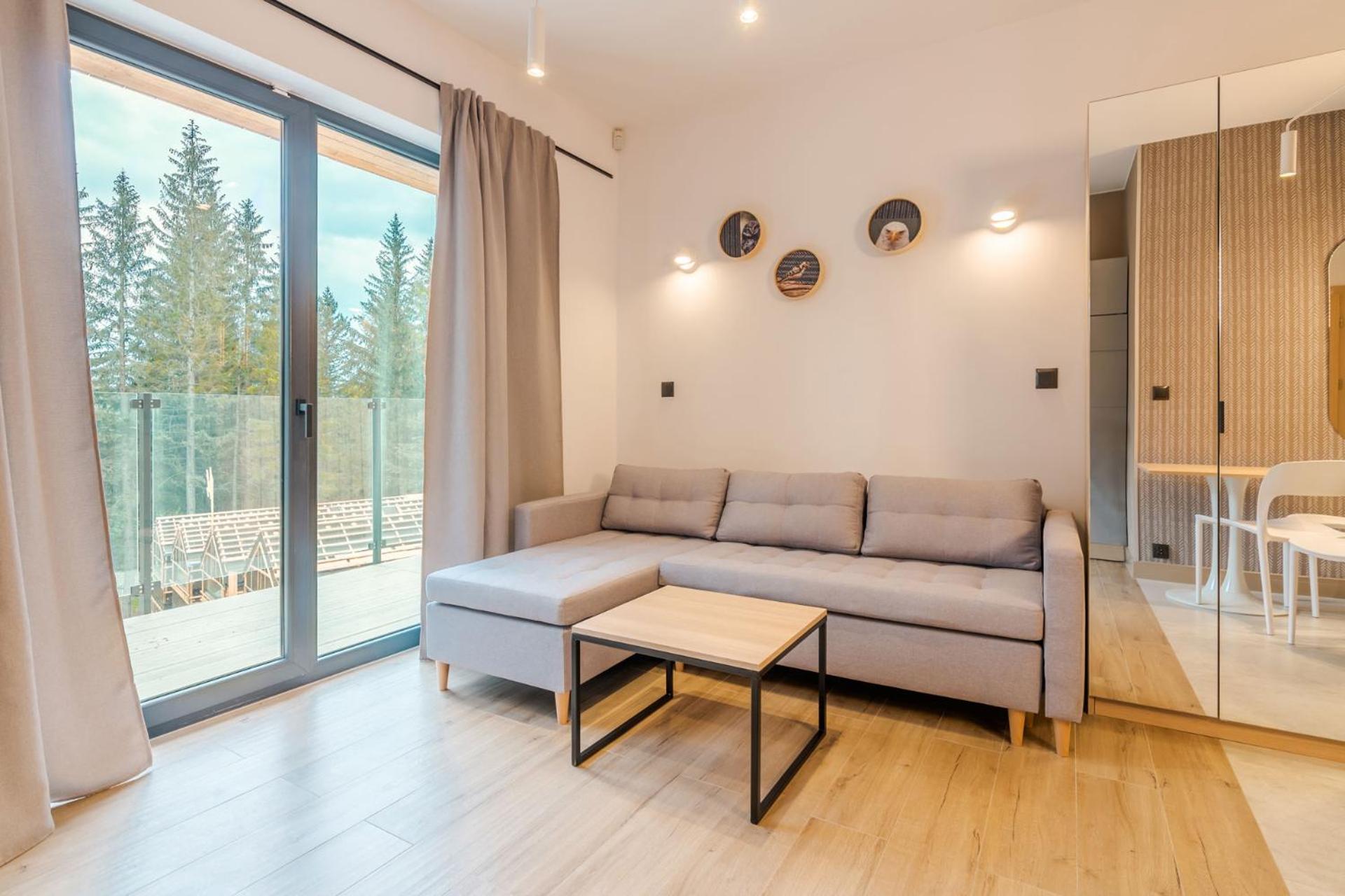 Standard Apartment with Sauna and Balcony photo 2