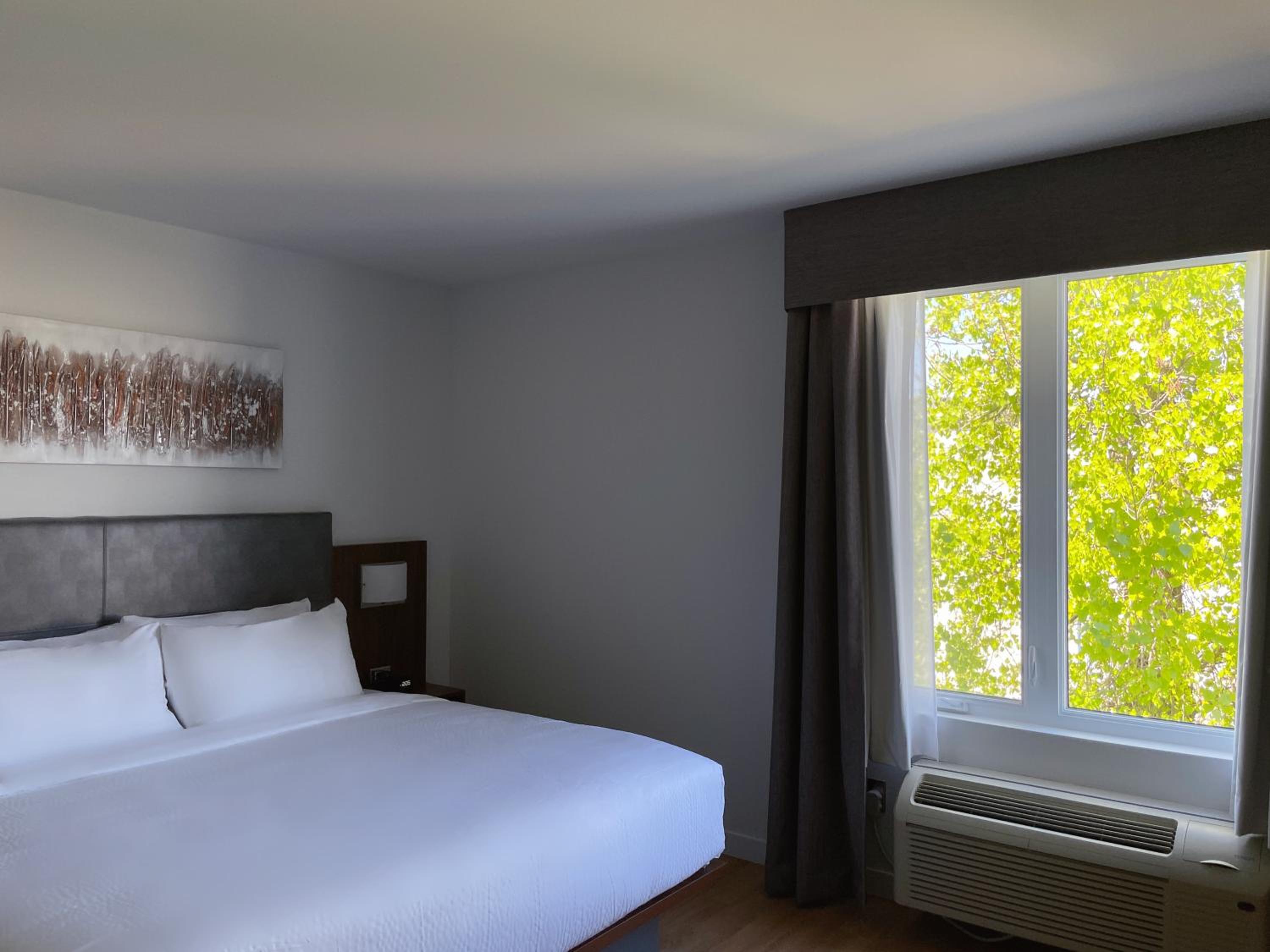 Deluxe King Room  - Accessible/No Pets/Non Smoking - Photo 6