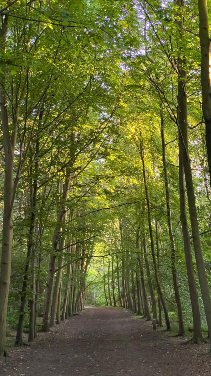 Five-Bedroom House photo 2