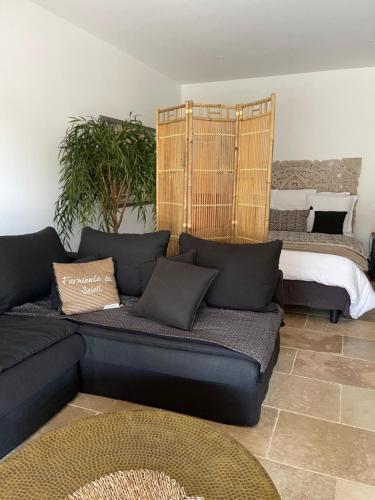 Suite with Private Pool photo 2