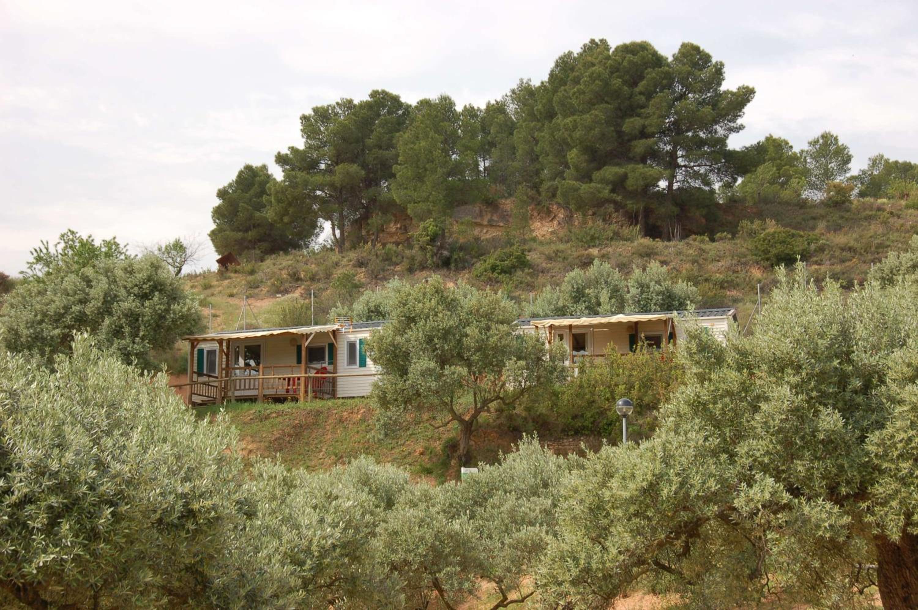 Mobile Home photo 2