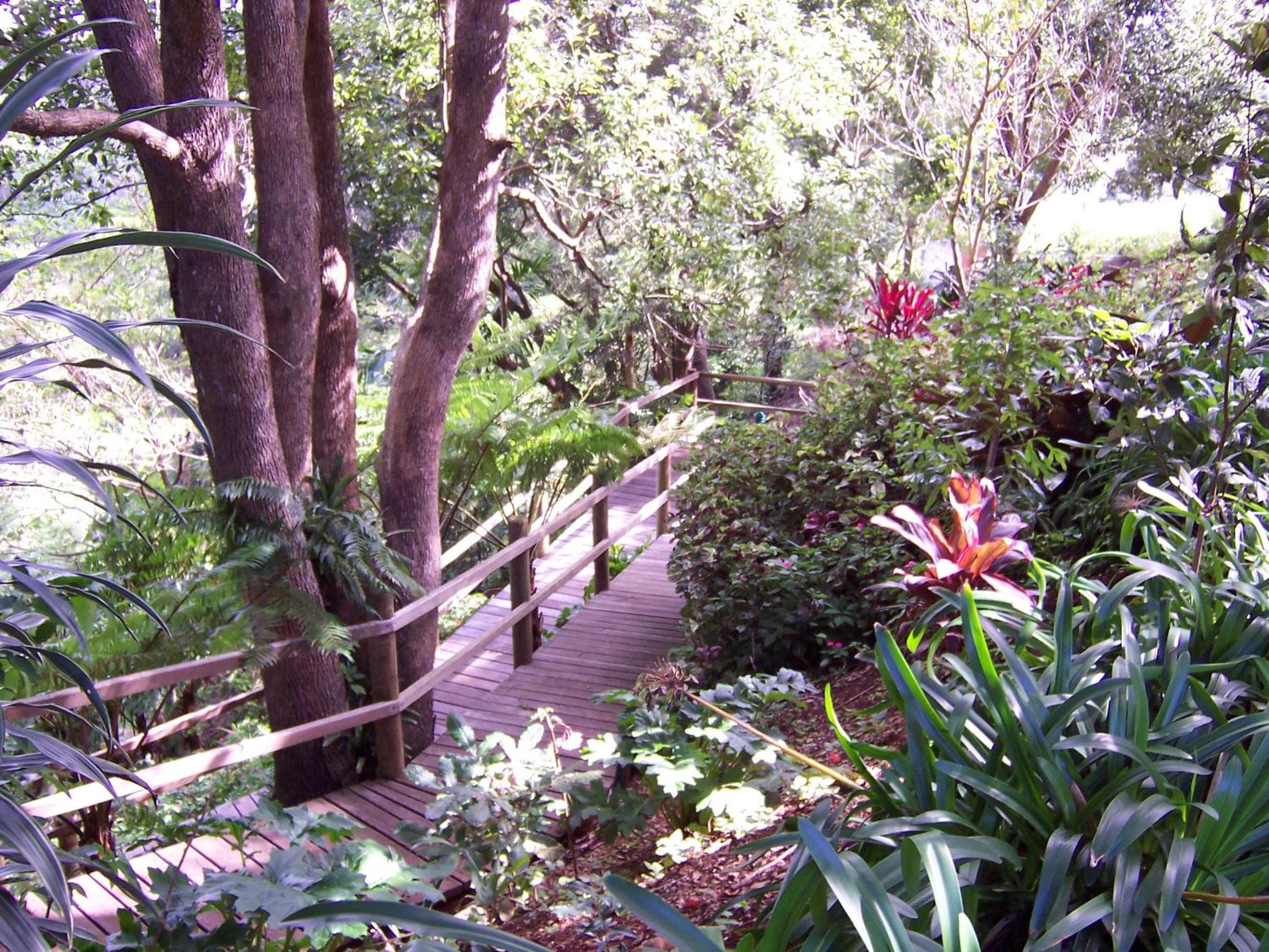 One-Bedroom Cottage - Rainforest Cottage (2 Adults) photo 2