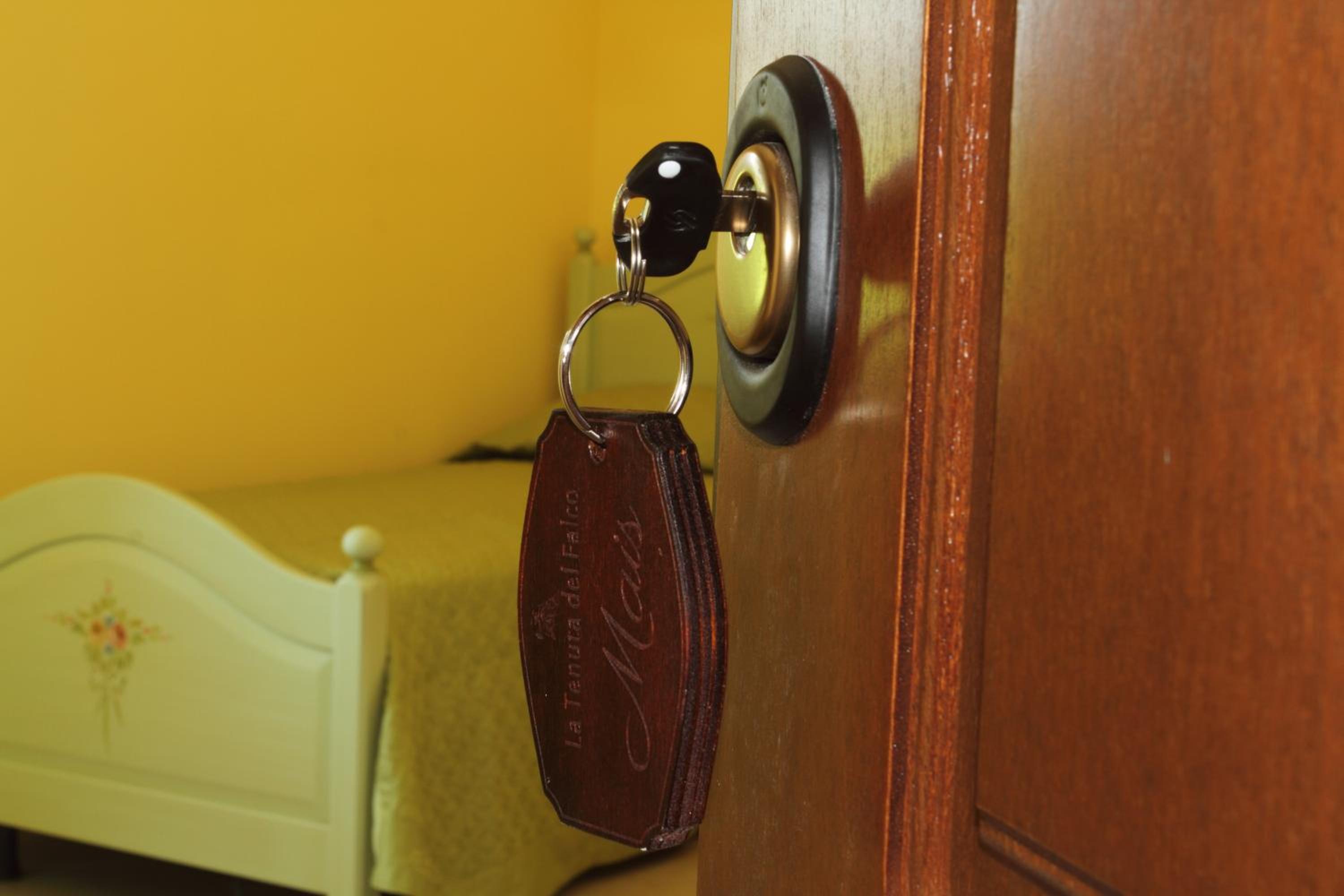 Single Room photo 1