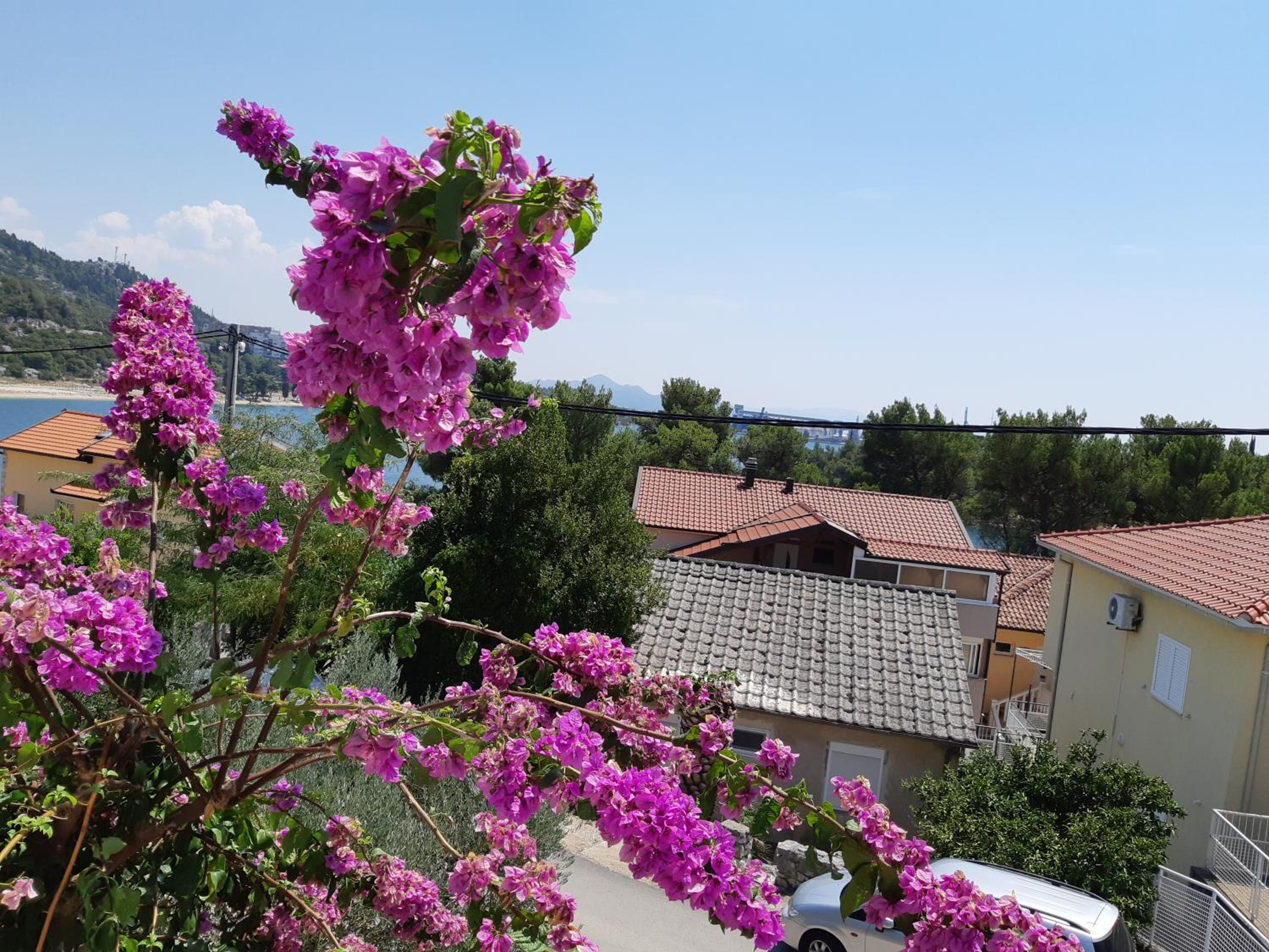 Apartment with Sea View - Photo 5