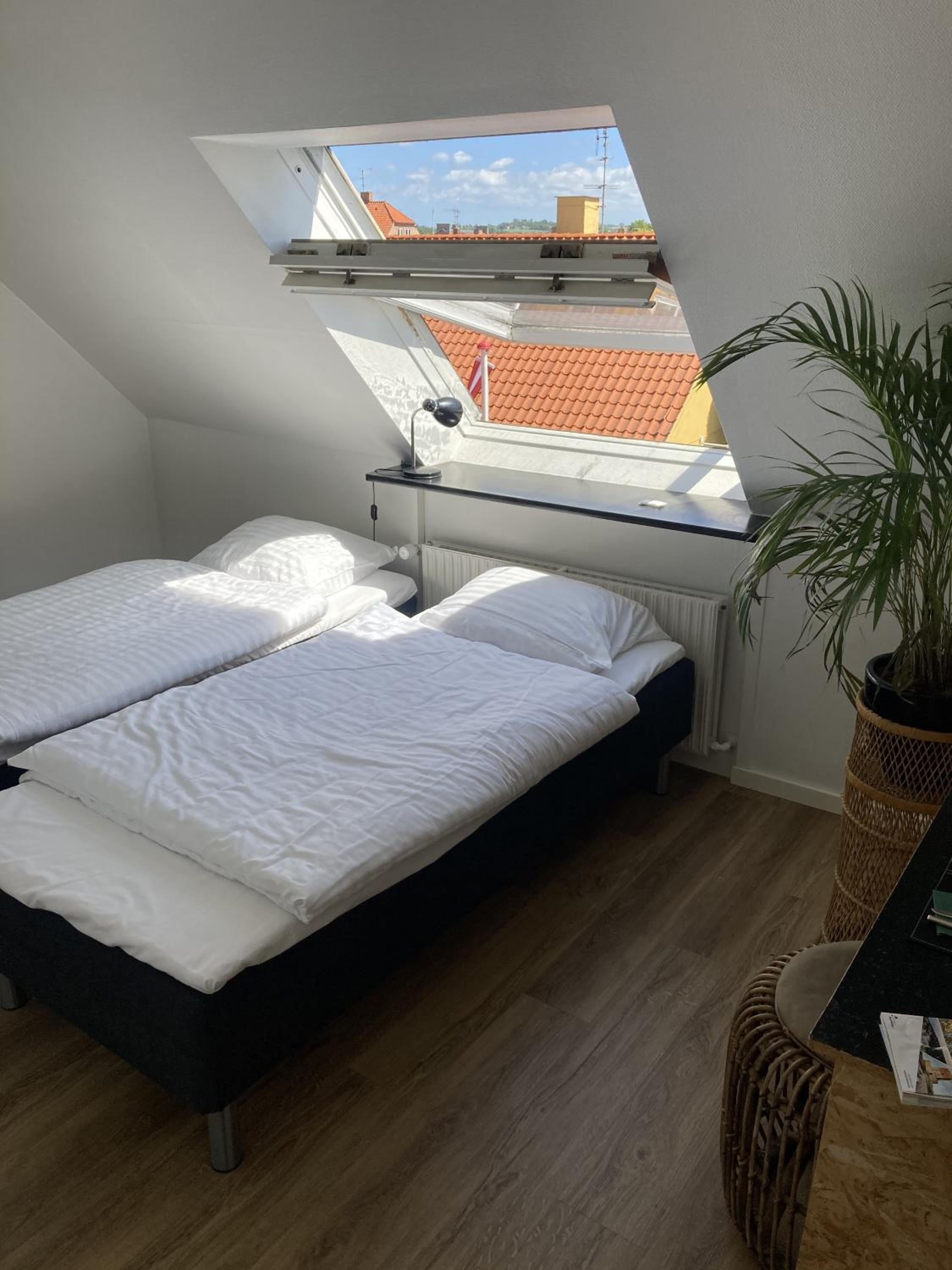 Standard Twin Room with Shared Bathroom photo 1