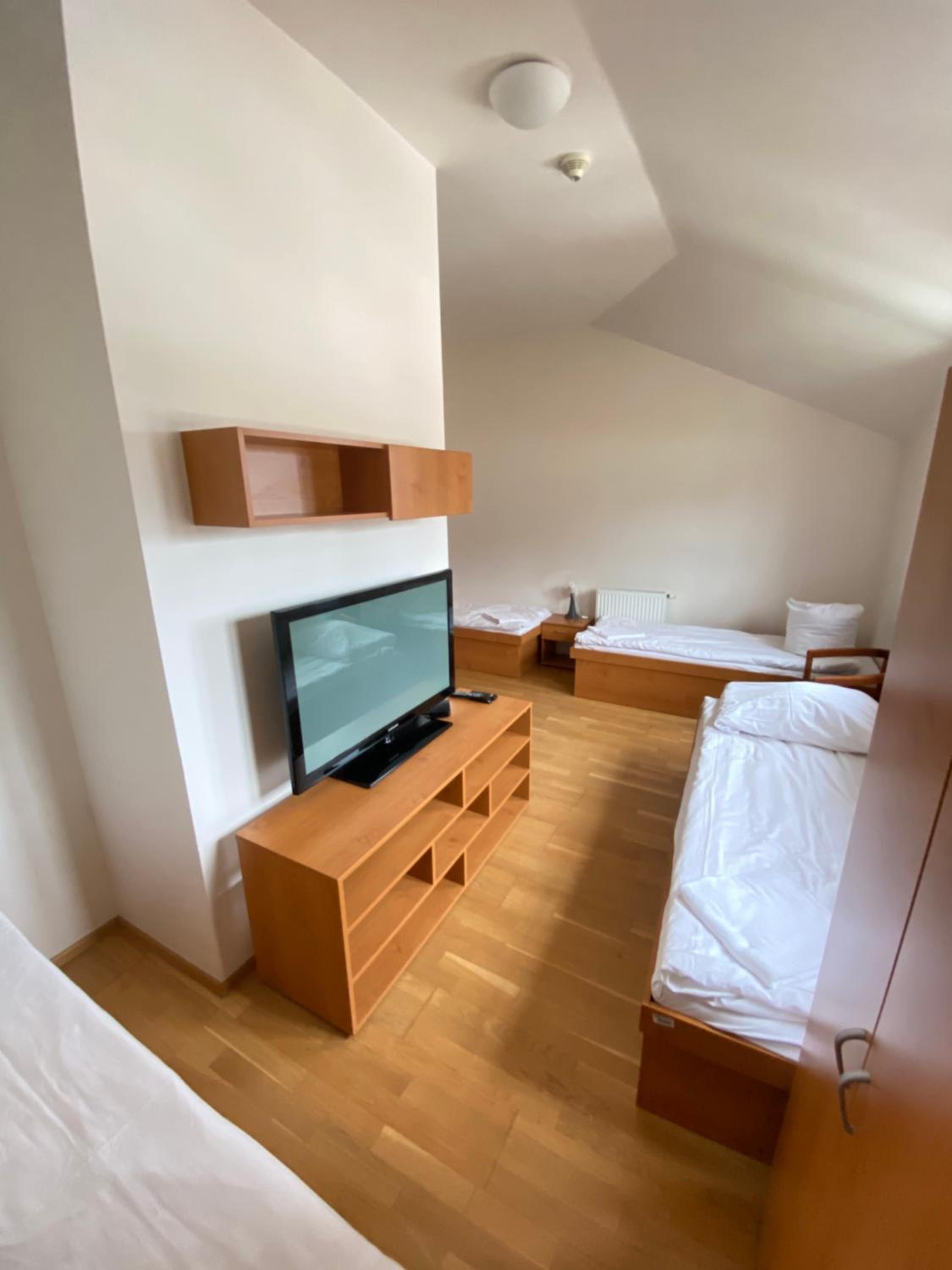 One-Bedroom Apartment photo 3
