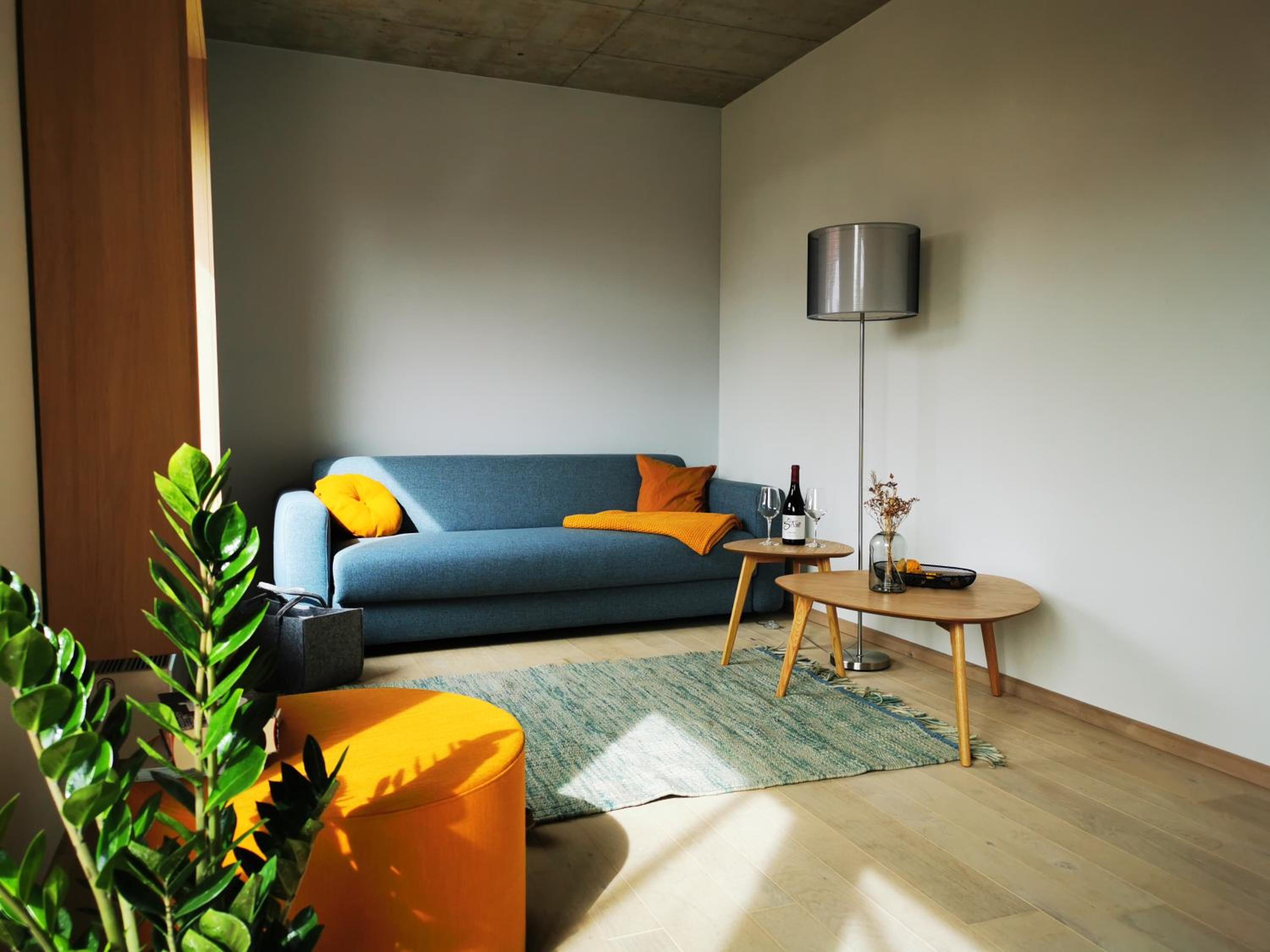 Apartment with Terrace photo 3