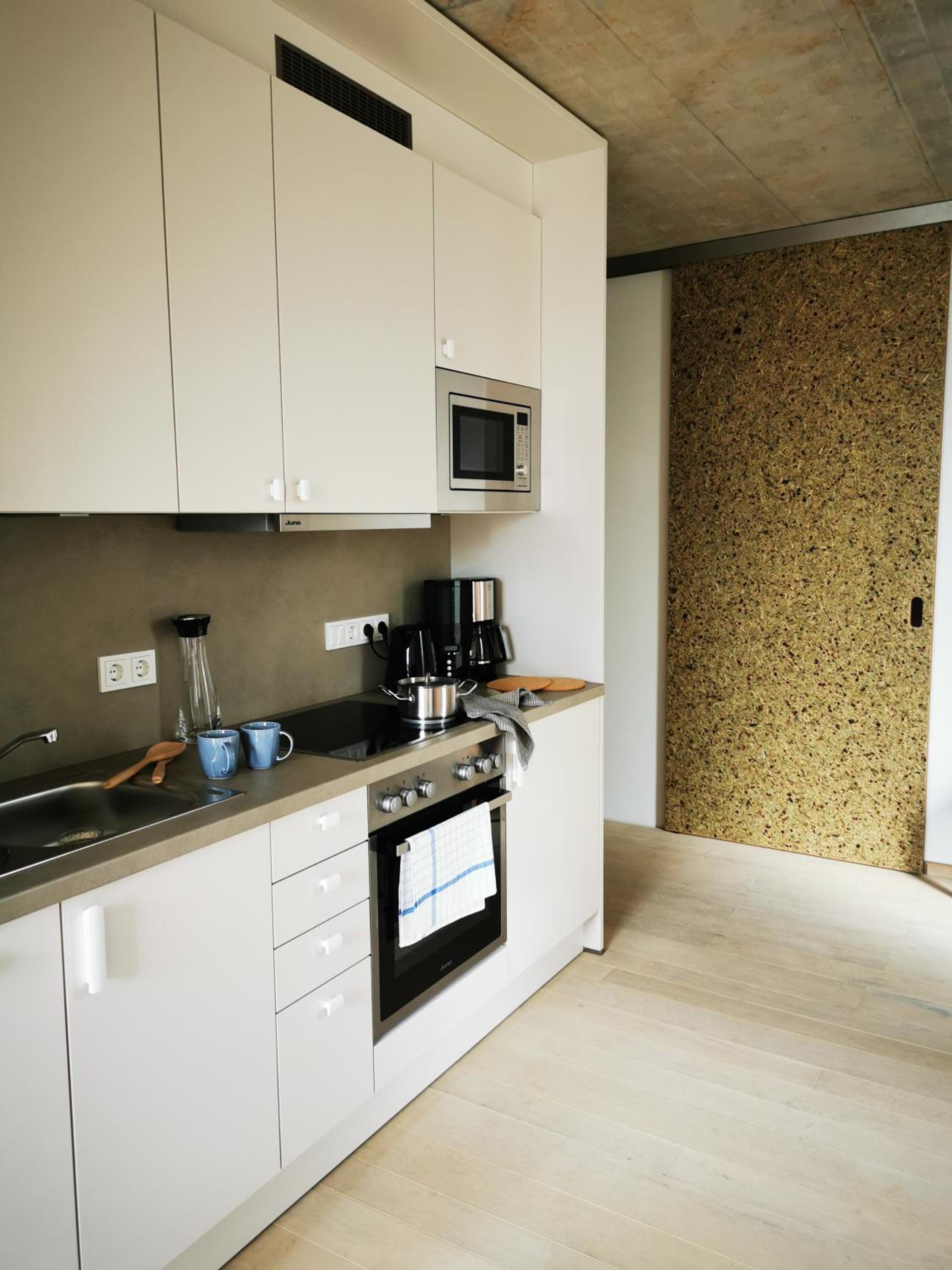 Apartment with Terrace photo 2