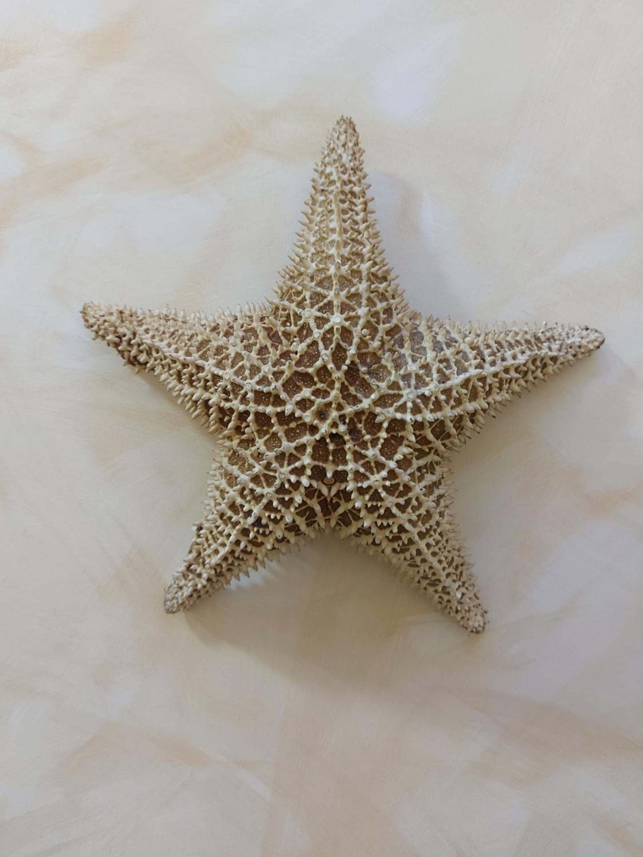 Superior Apartment with Sauna - Photo 66